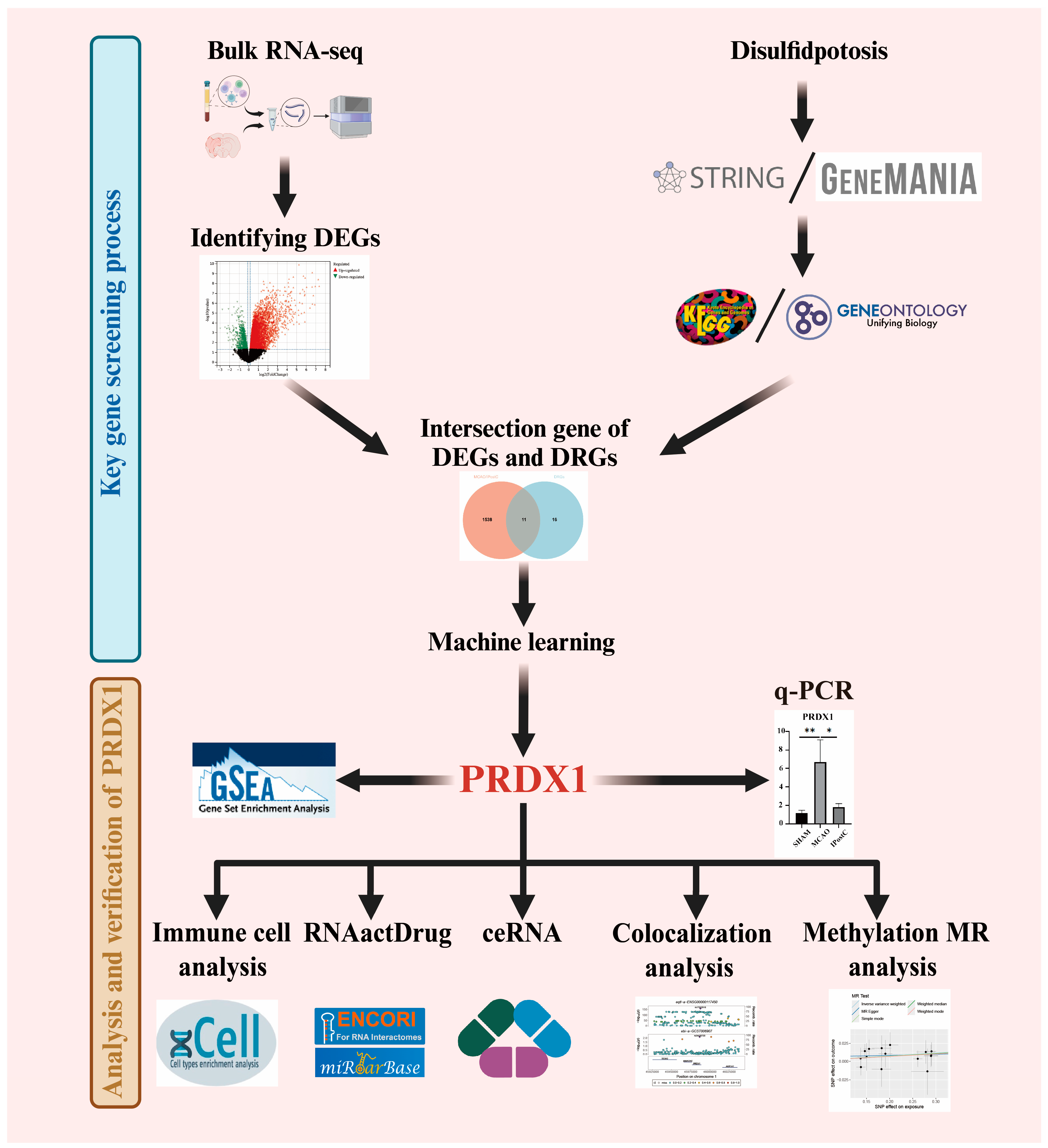 Biomolecules 14 01390 g001