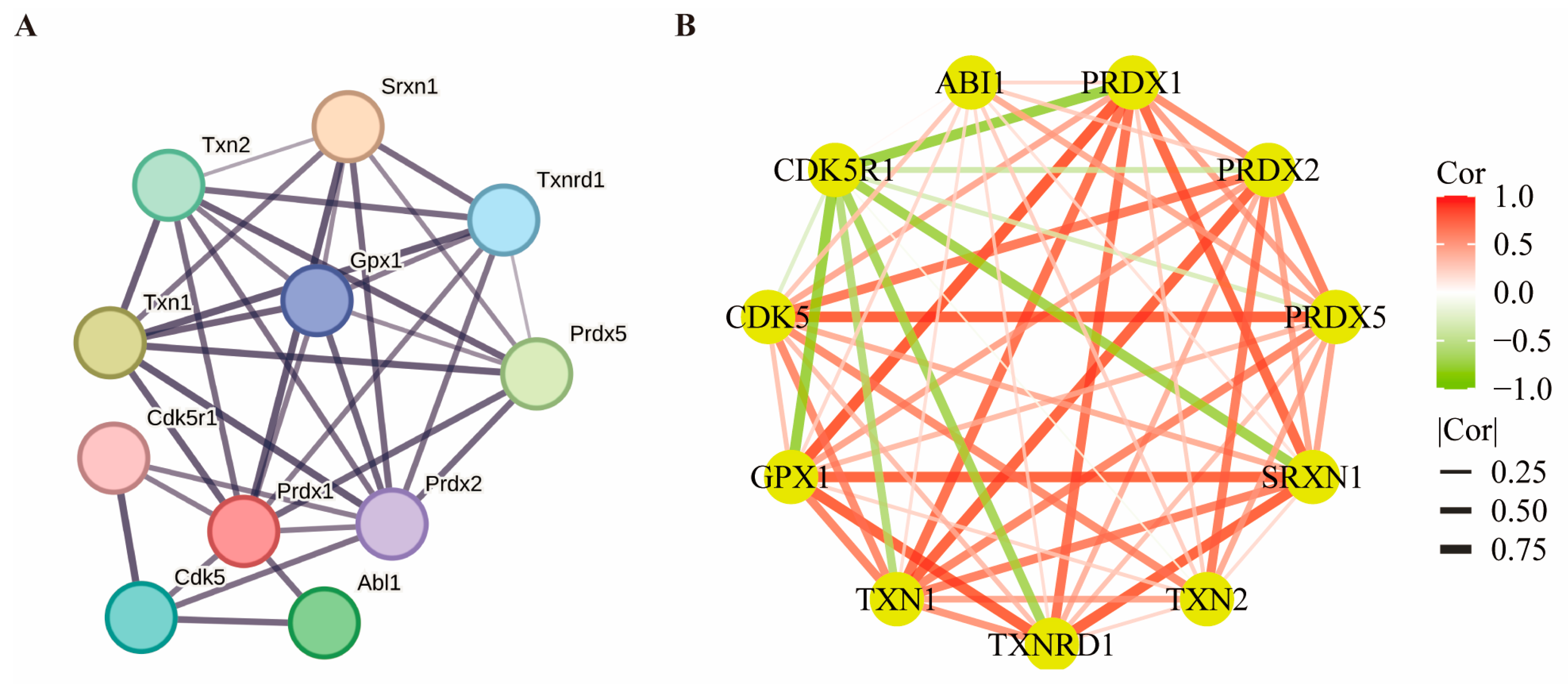 Biomolecules 14 01390 g007