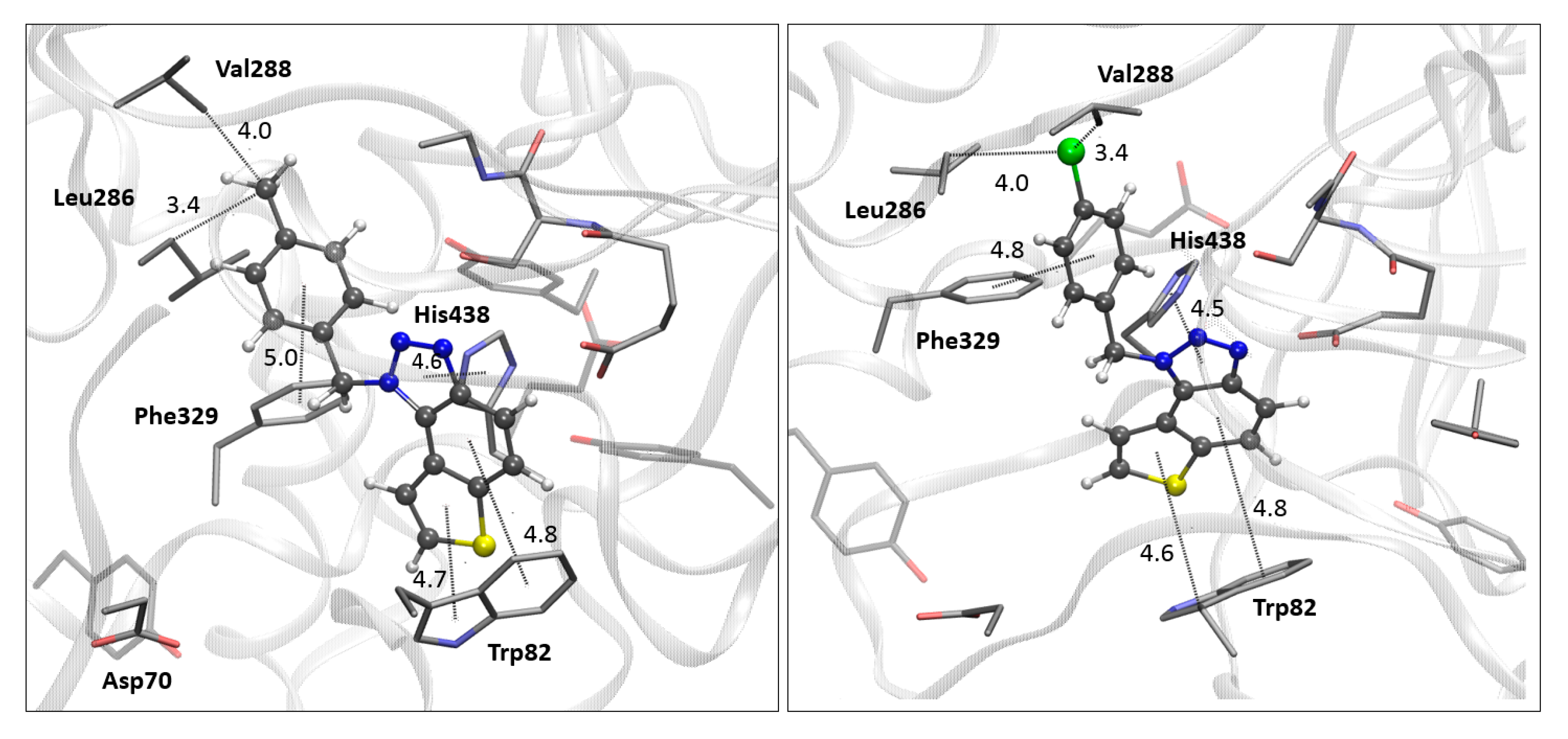 Biomolecules 14 01391 g007