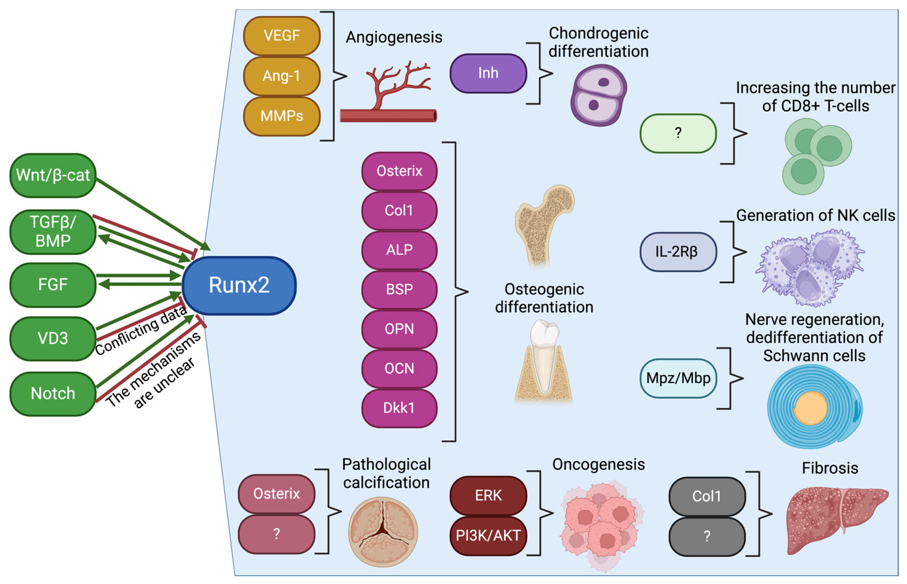 Biomolecules 14 01392 g002