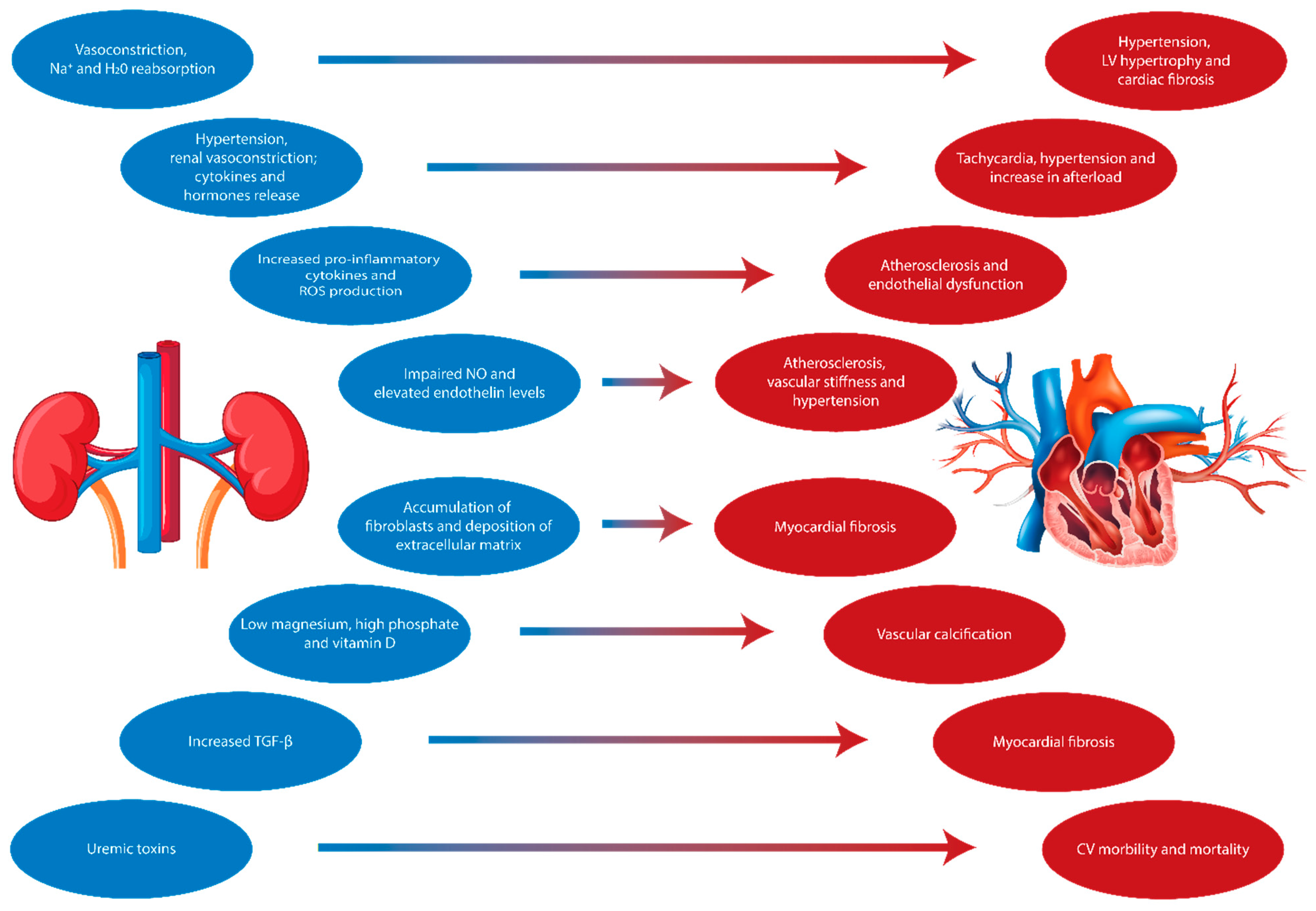 Biomolecules 14 01393 g001 Biomolecules 14 01393 g001