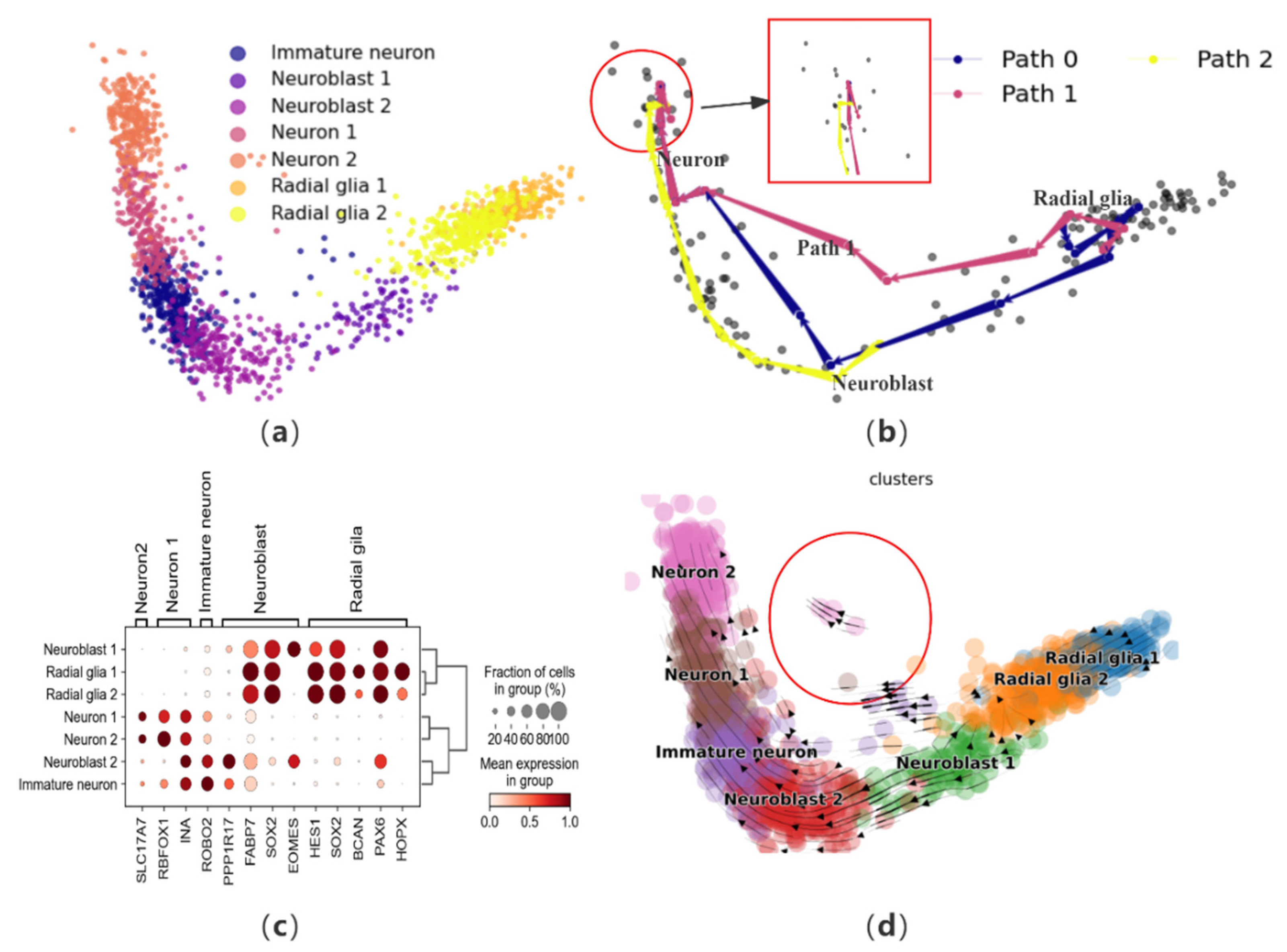 Biomolecules 14 01396 g004