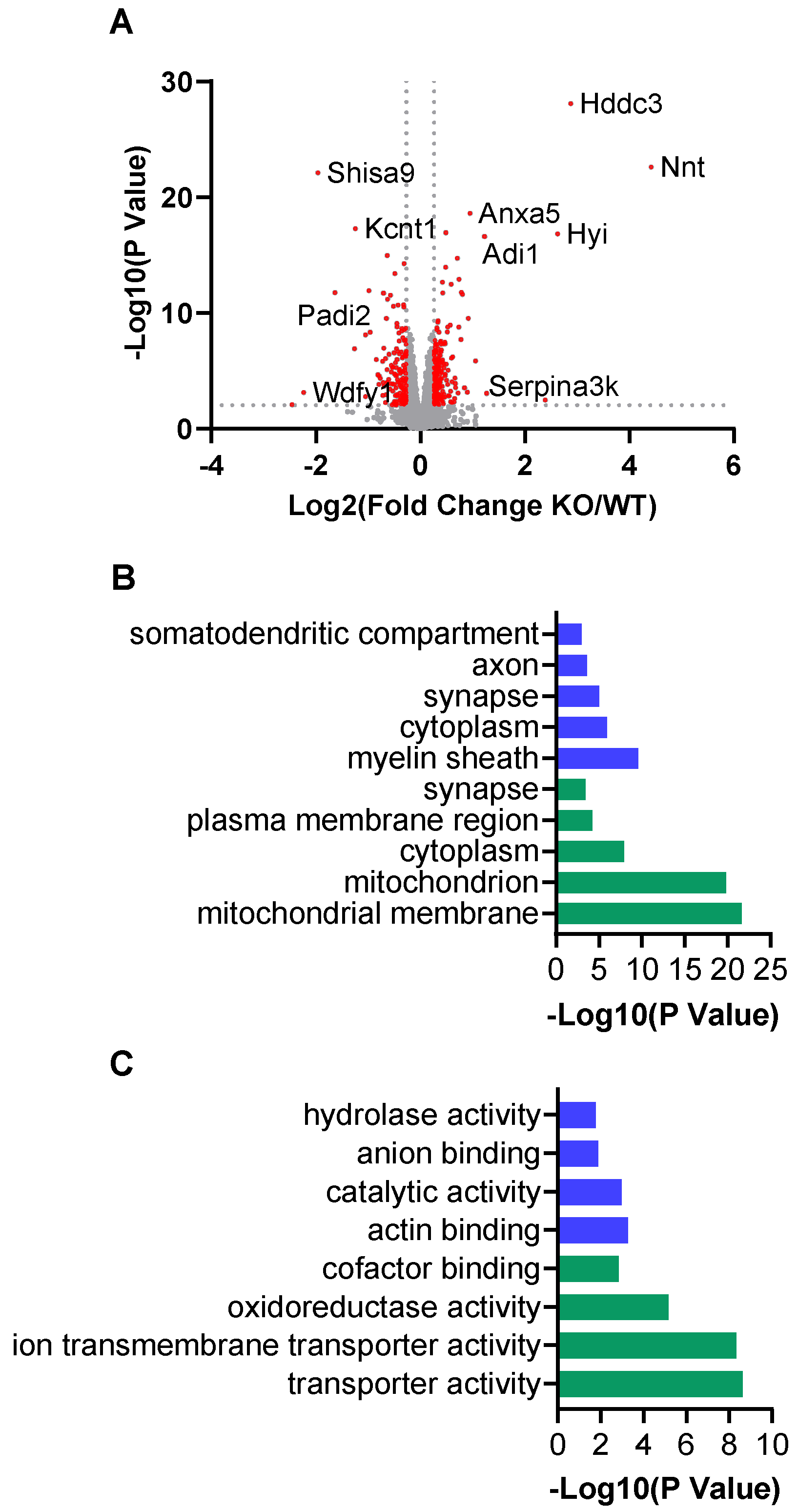 Biomolecules 14 01397 g001