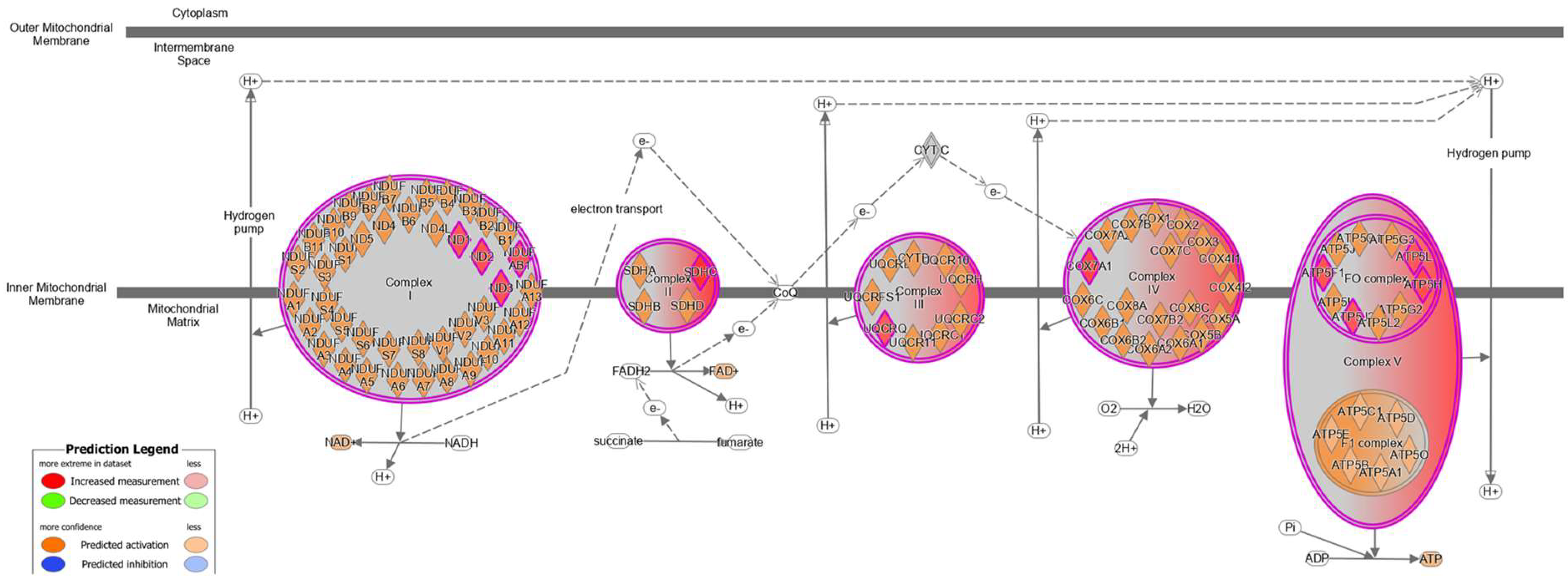 Biomolecules 14 01397 g002