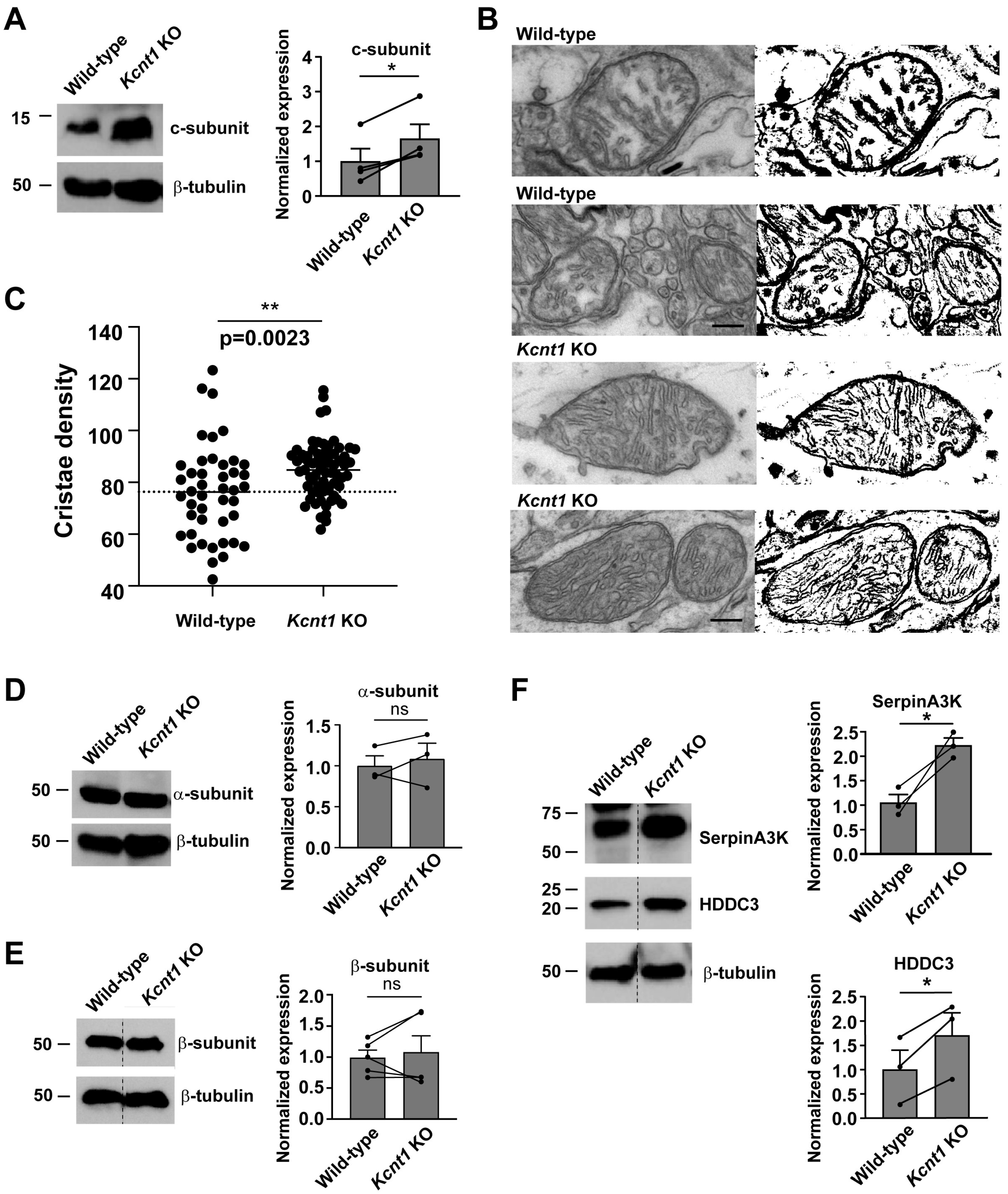 Biomolecules 14 01397 g003
