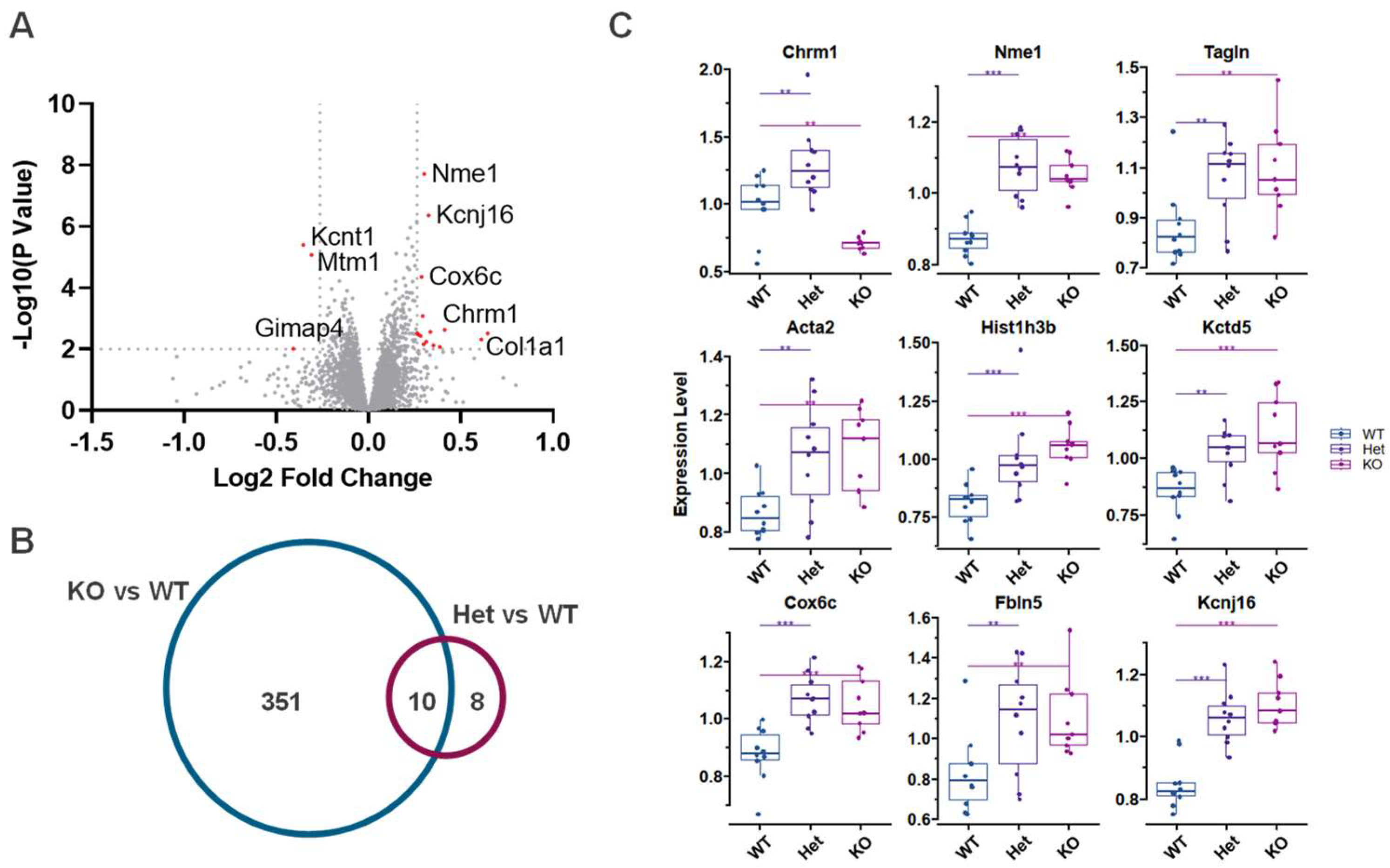 Biomolecules 14 01397 g005