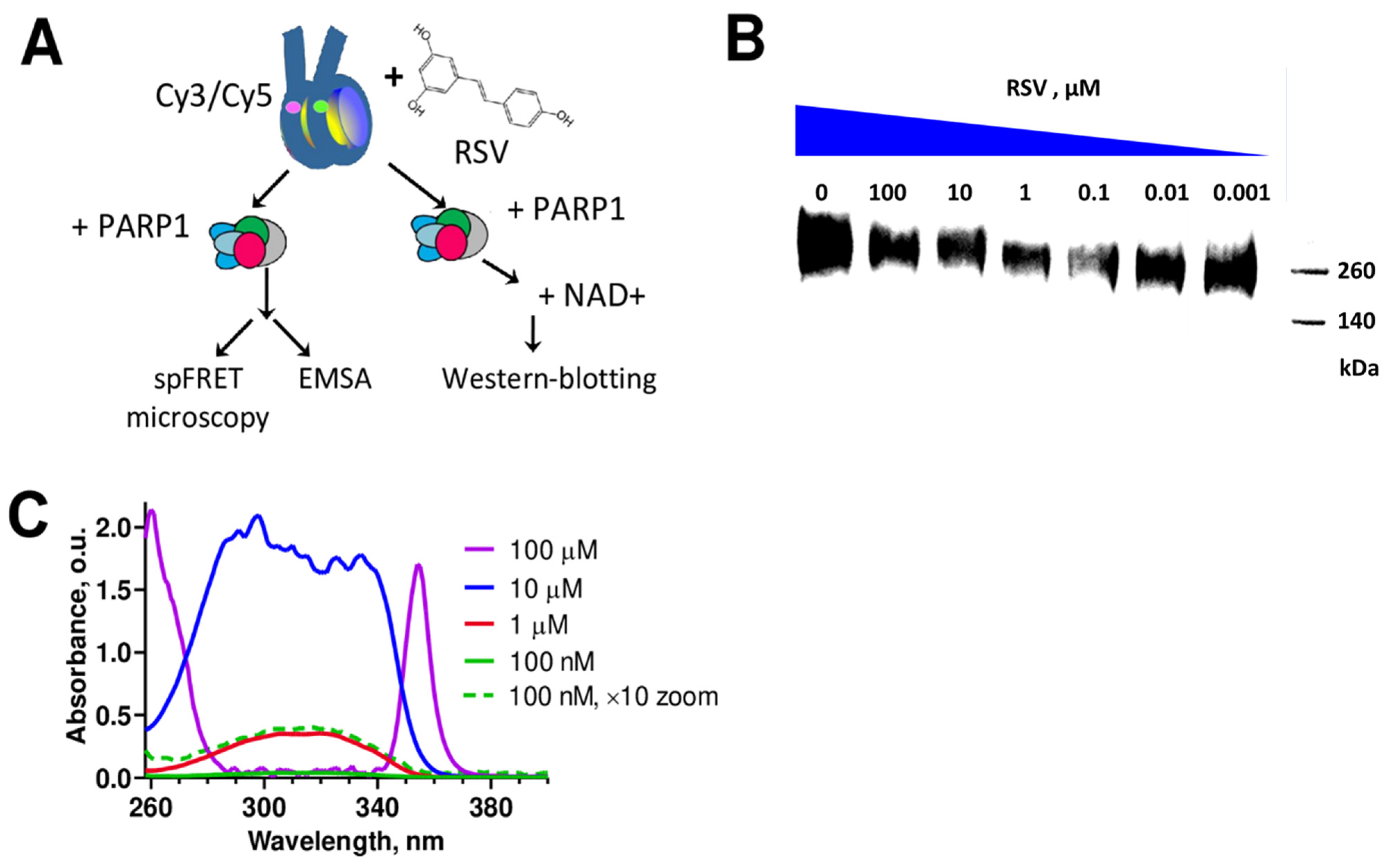 Biomolecules 14 01398 g001
