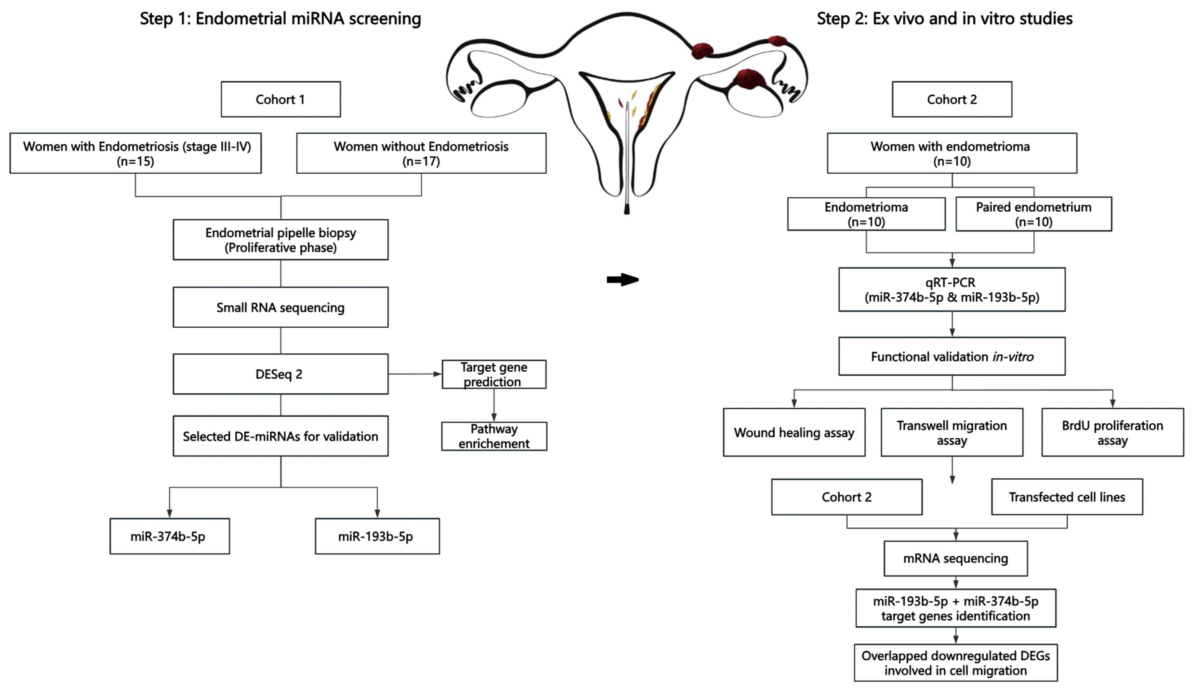Biomolecules 14 01400 g001