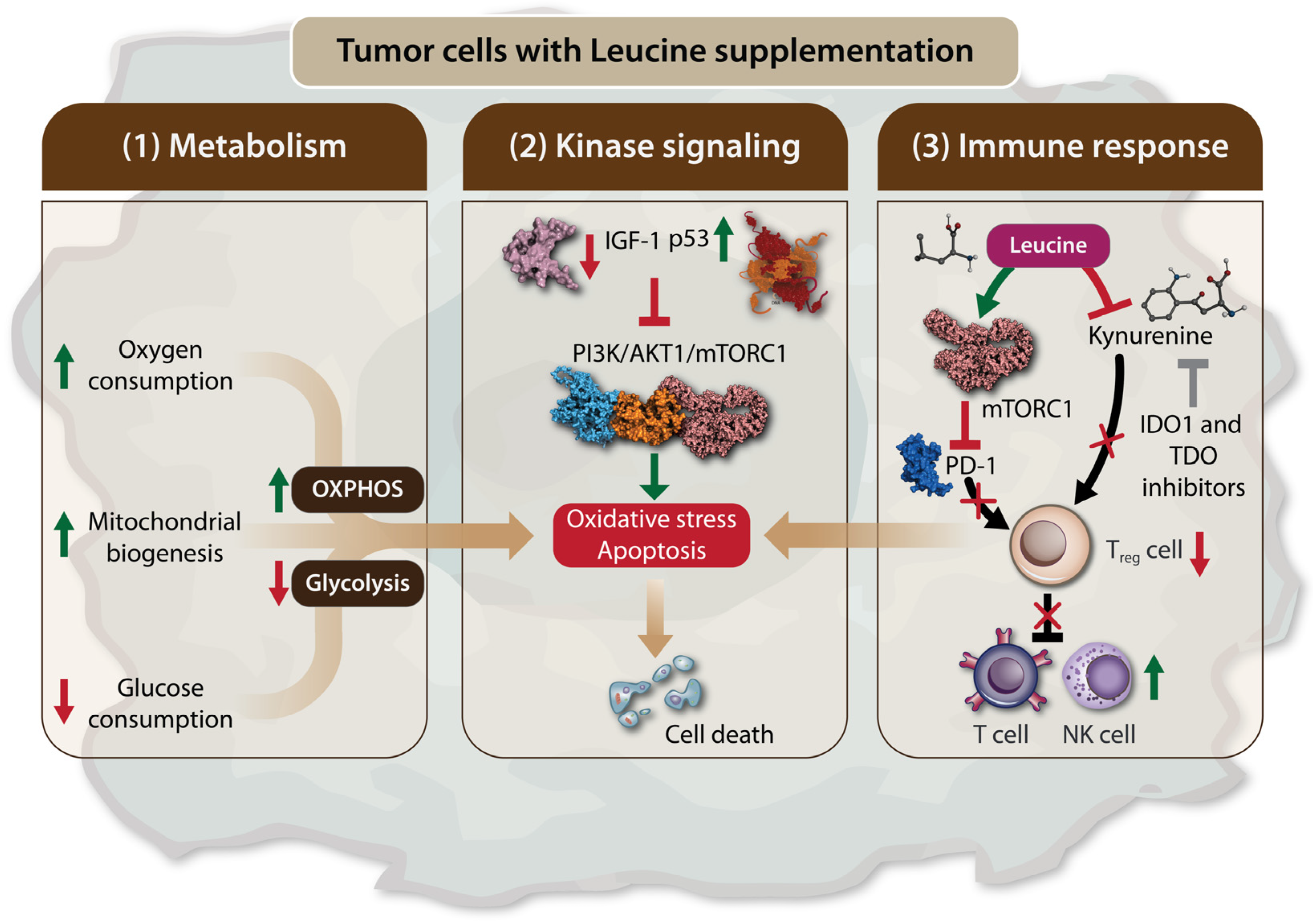 Biomolecules 14 01401 g002