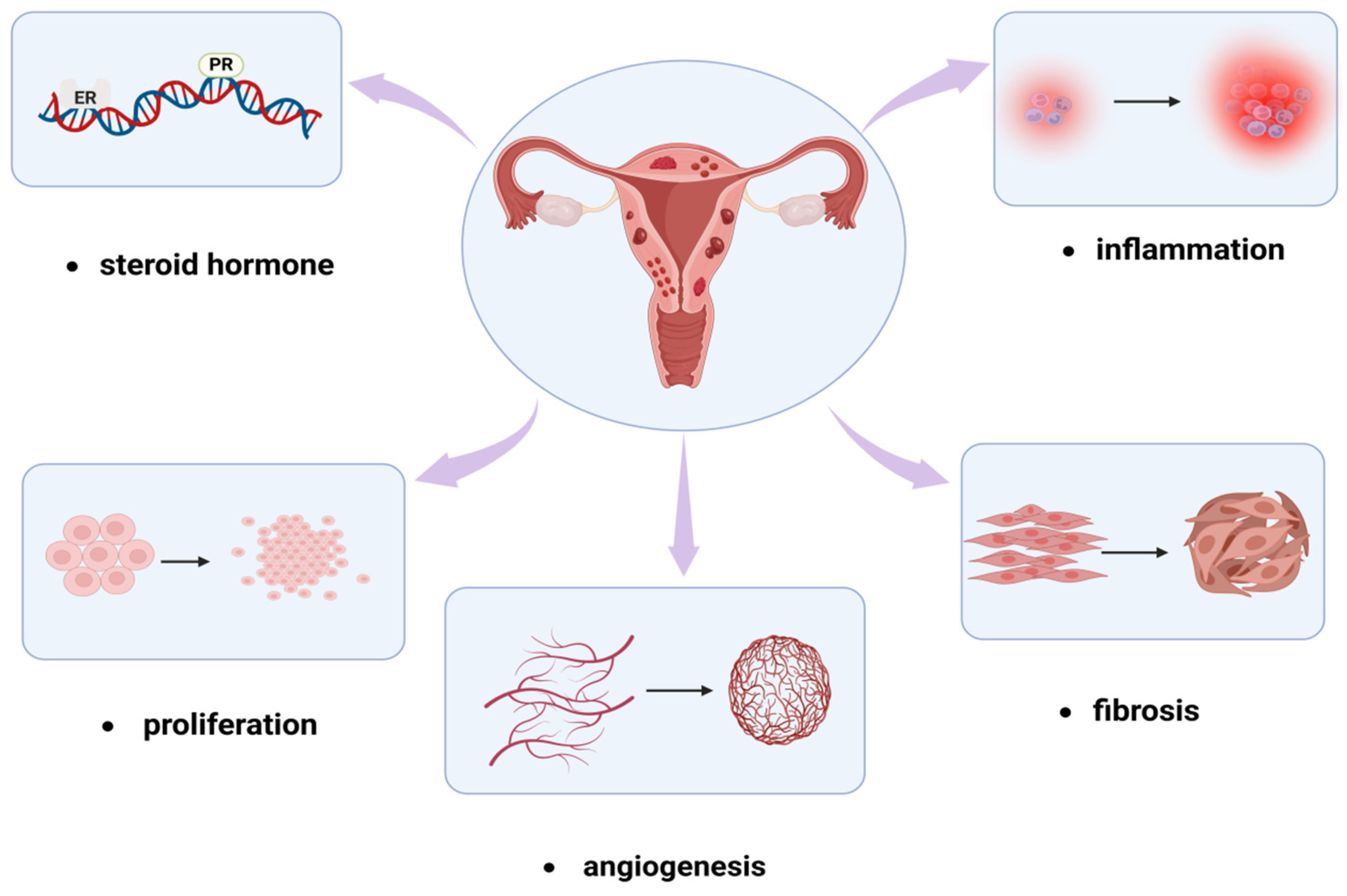 Biomolecules 14 01402 g004 Biomolecules 14 01402 g004