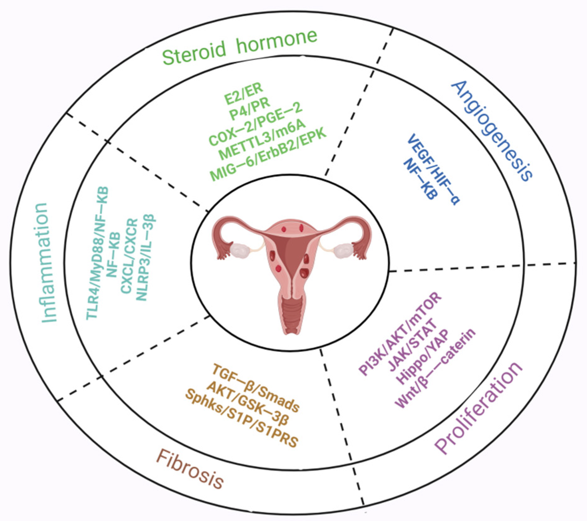 Biomolecules 14 01402 g005 Biomolecules 14 01402 g005