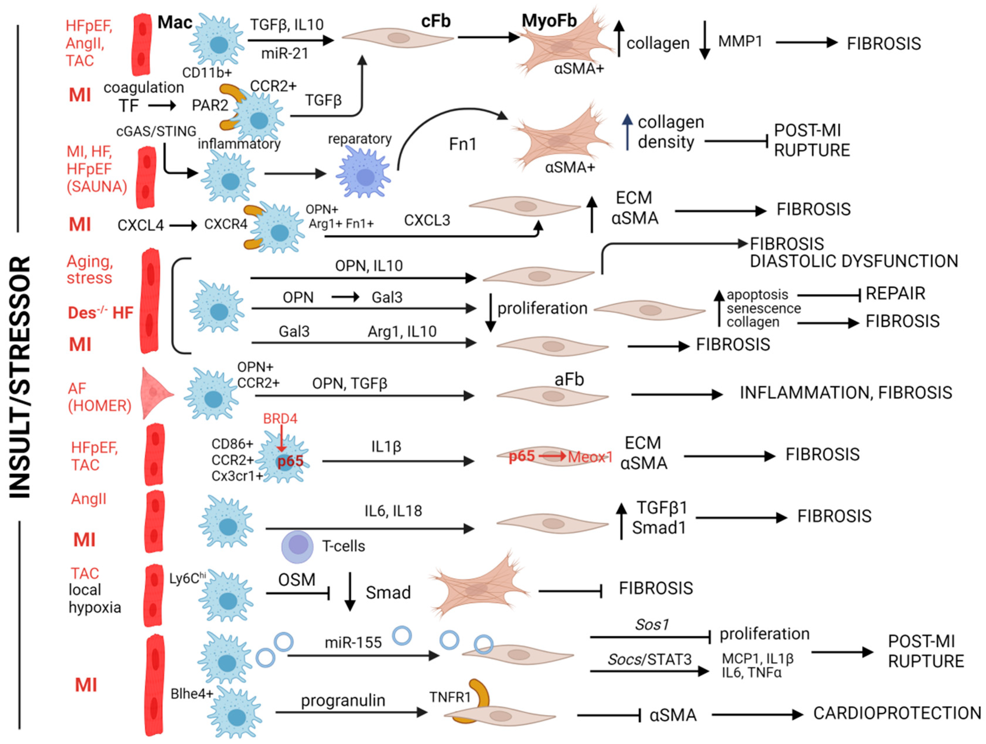 Biomolecules 14 01403 g002