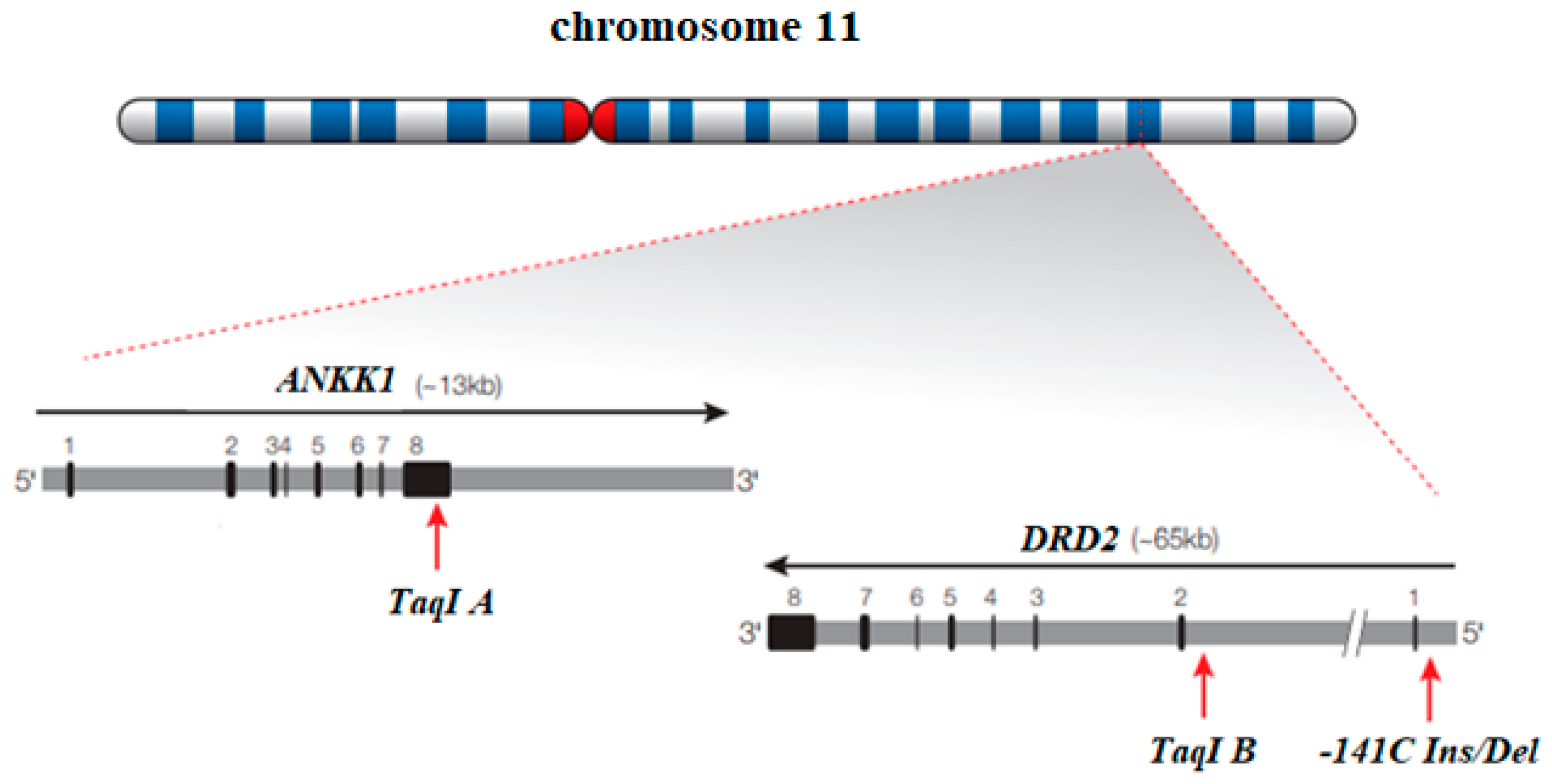 Biomolecules 14 01406 g003
