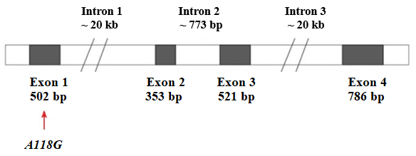 Biomolecules 14 01406 g005