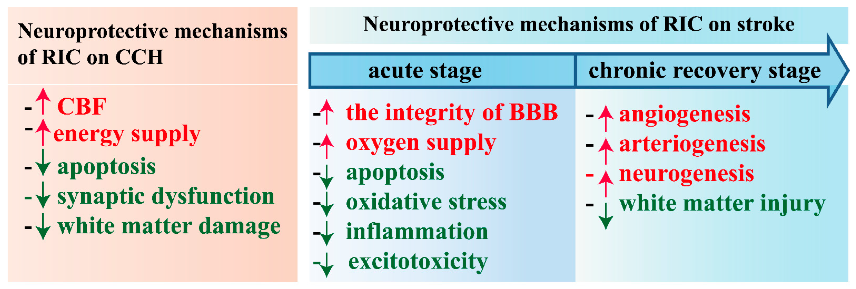 Biomolecules 14 01408 g001 Biomolecules 14 01408 g001
