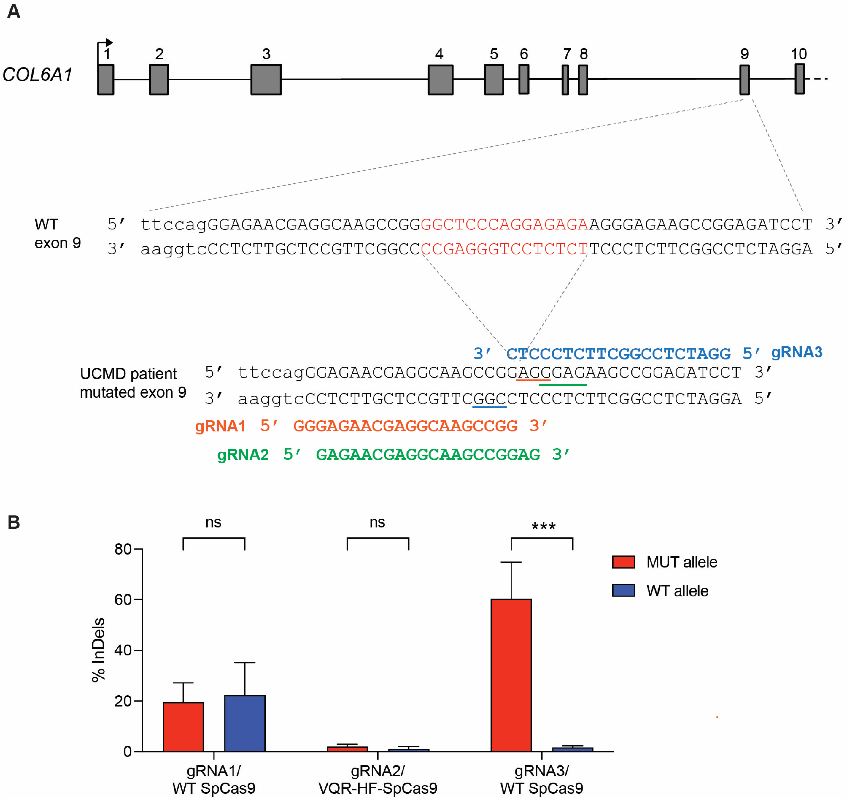 Biomolecules 14 01412 g001 Biomolecules 14 01412 g001