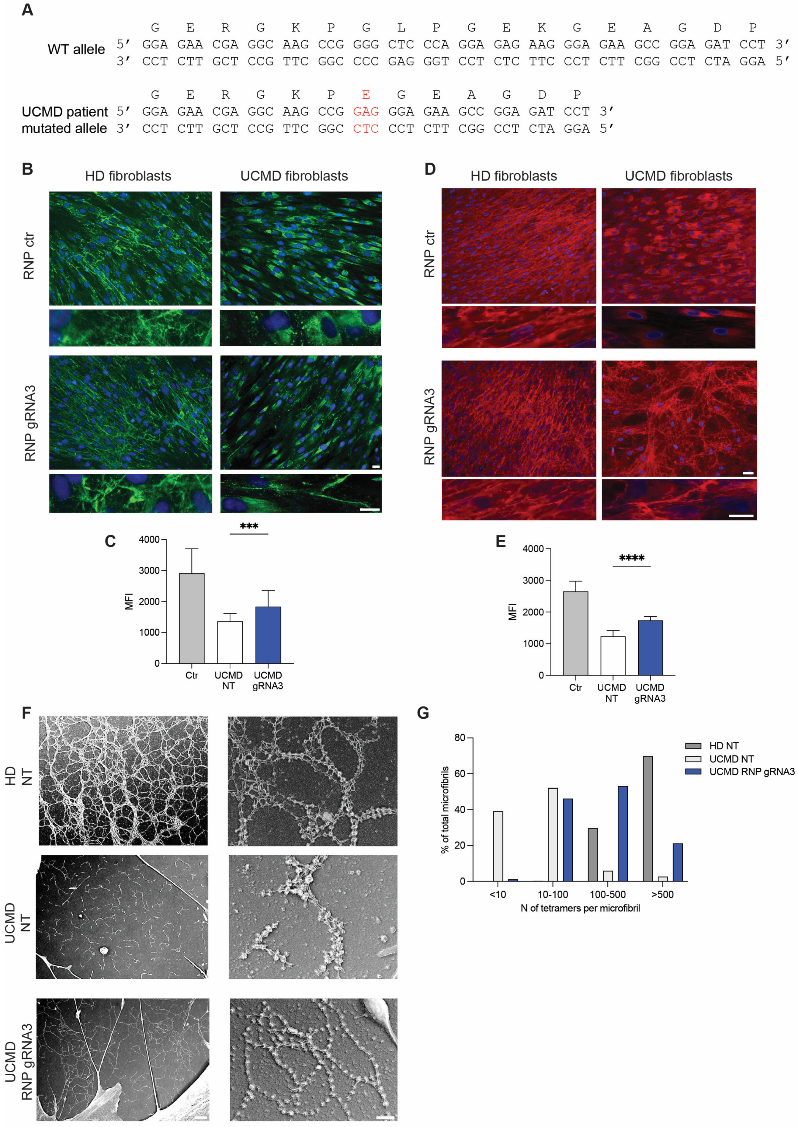 Biomolecules 14 01412 g004 Biomolecules 14 01412 g004