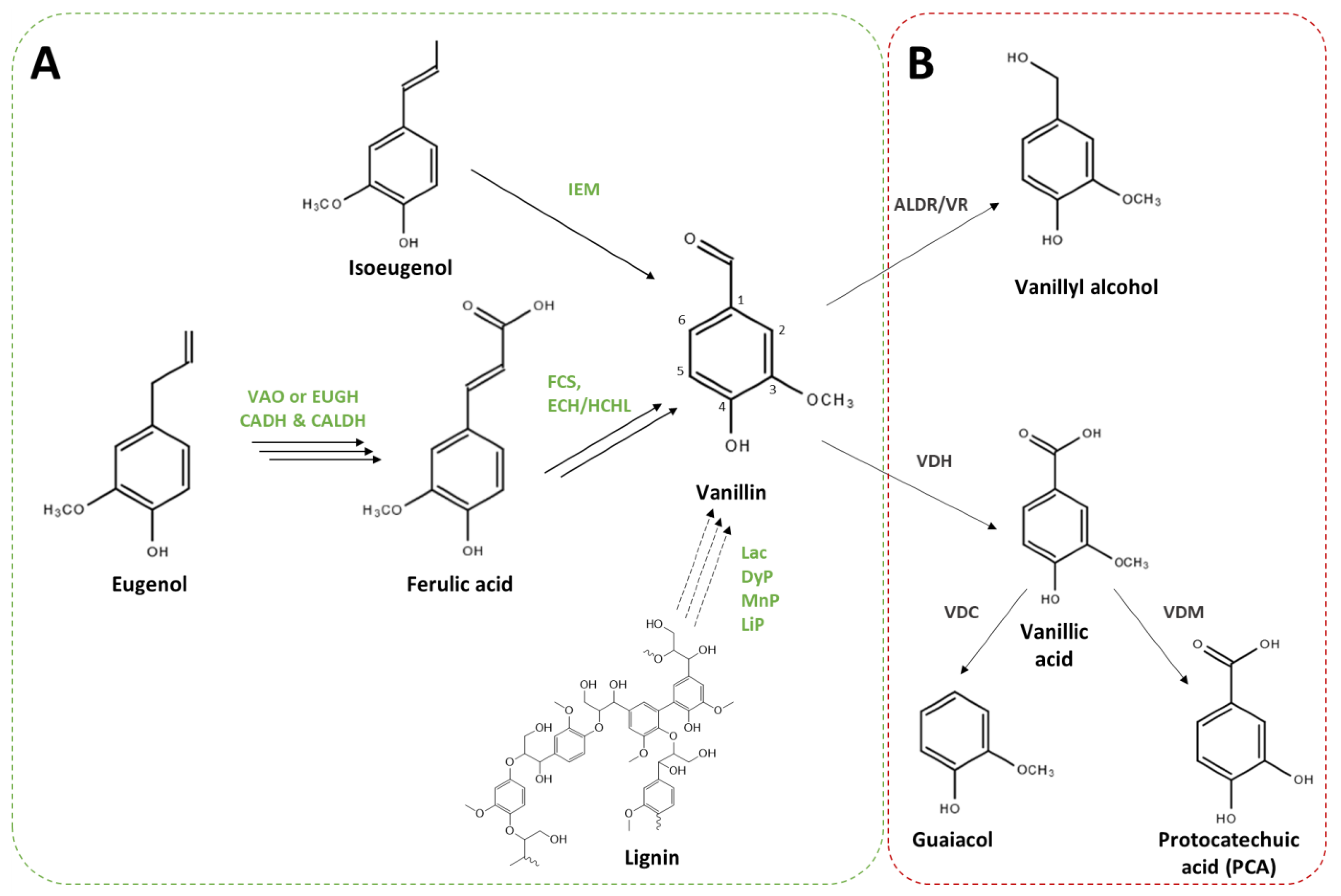 Biomolecules 14 01413 g002 Biomolecules 14 01413 g002