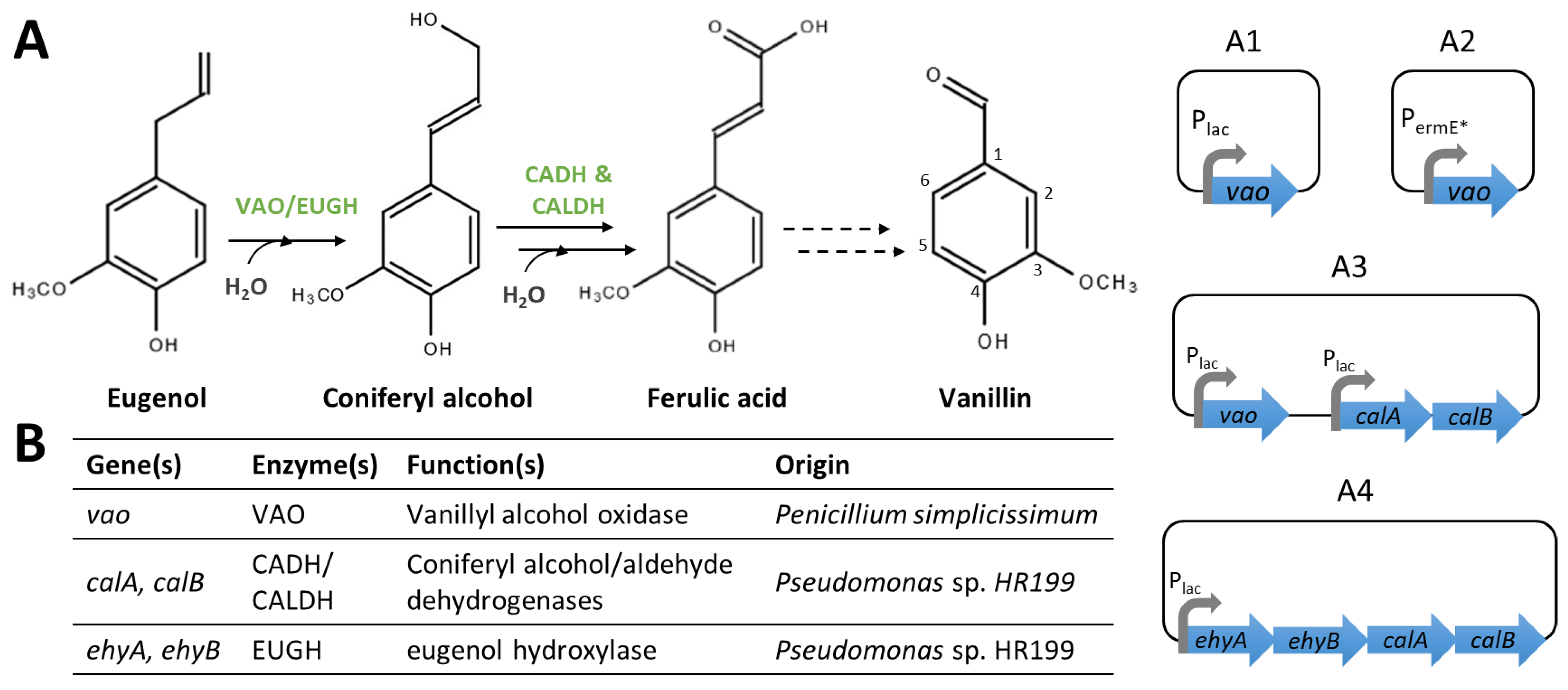 Biomolecules 14 01413 g006 Biomolecules 14 01413 g006