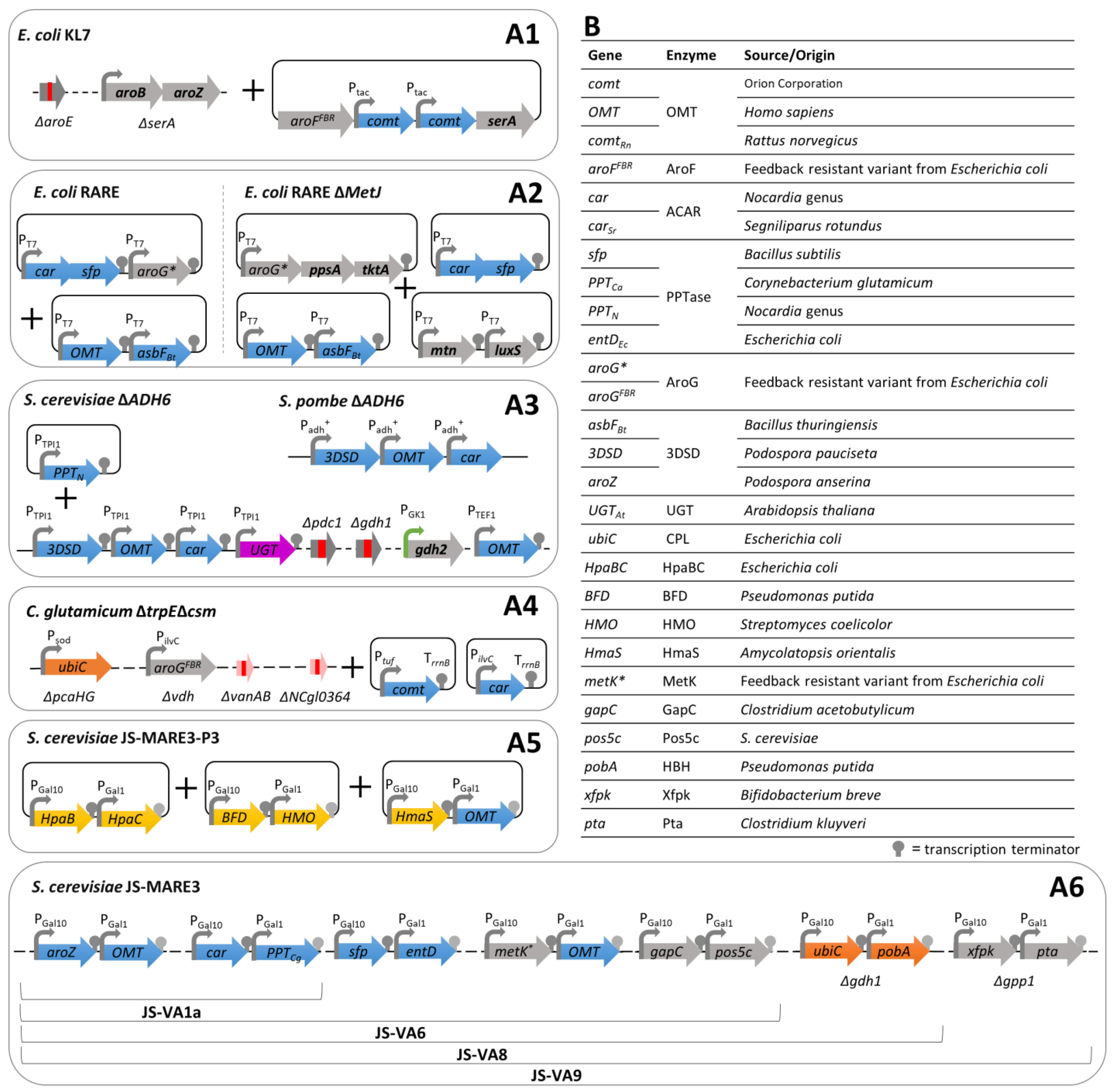 Biomolecules 14 01413 g013 Biomolecules 14 01413 g013