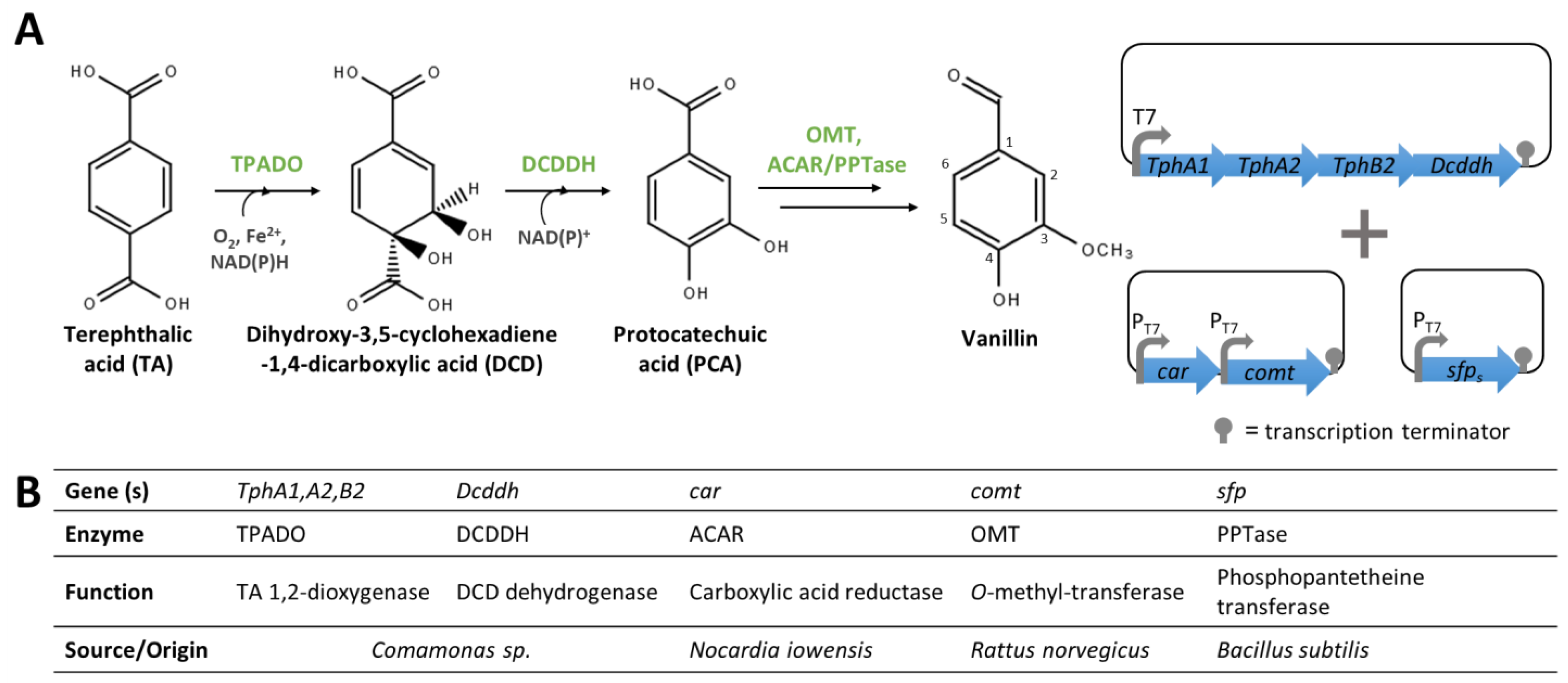 Biomolecules 14 01413 g014 Biomolecules 14 01413 g014