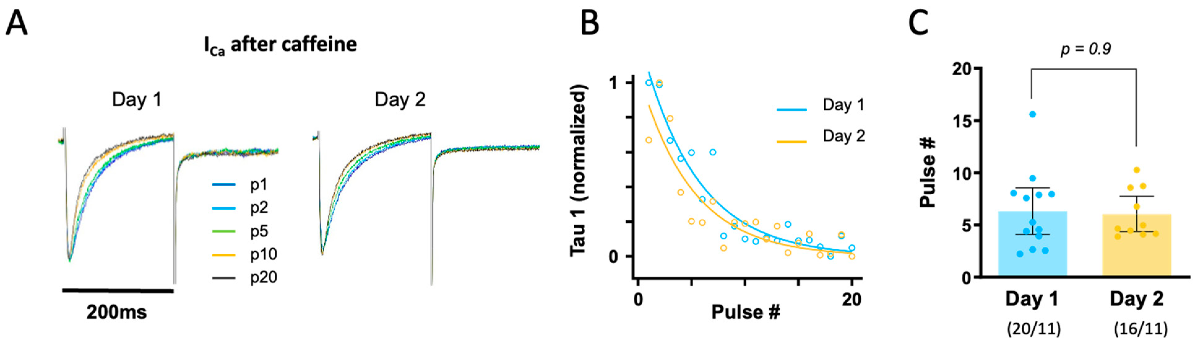 Biomolecules 14 01415 g004 Biomolecules 14 01415 g004