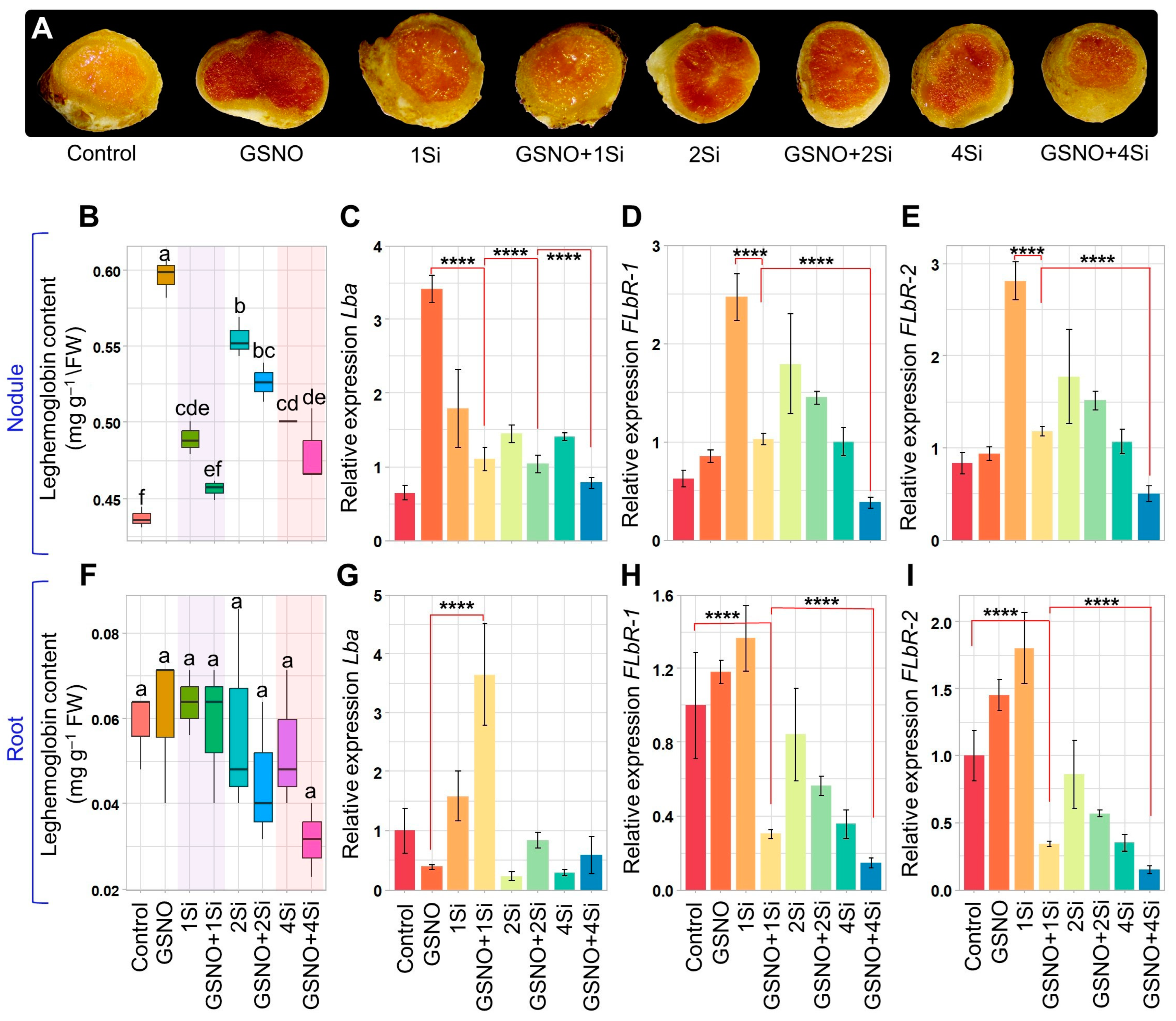 Biomolecules 14 01417 g003 Biomolecules 14 01417 g003