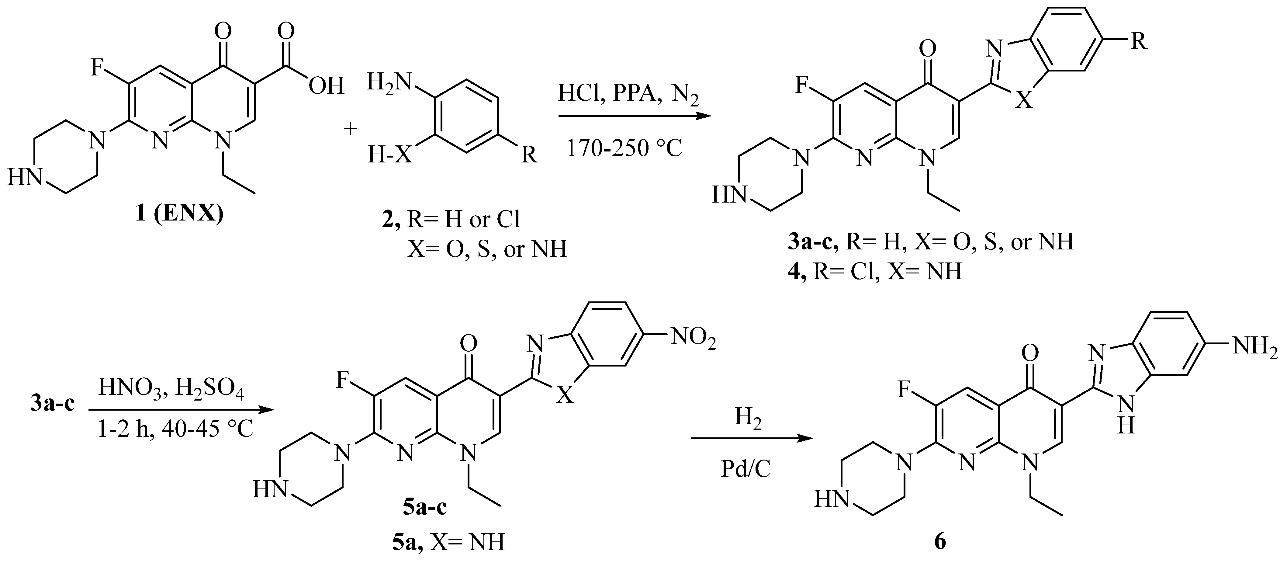 Biomolecules 14 01419 sch001