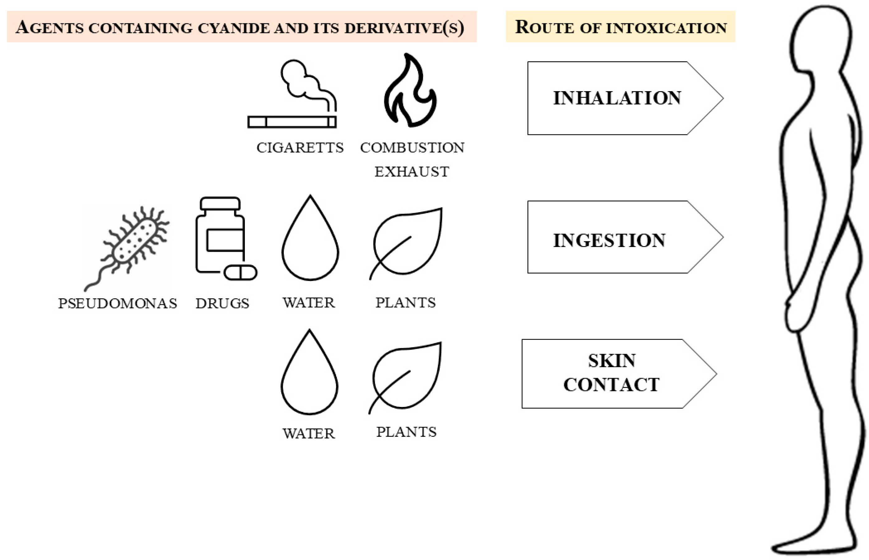 Biomolecules 14 01420 g001 Biomolecules 14 01420 g001