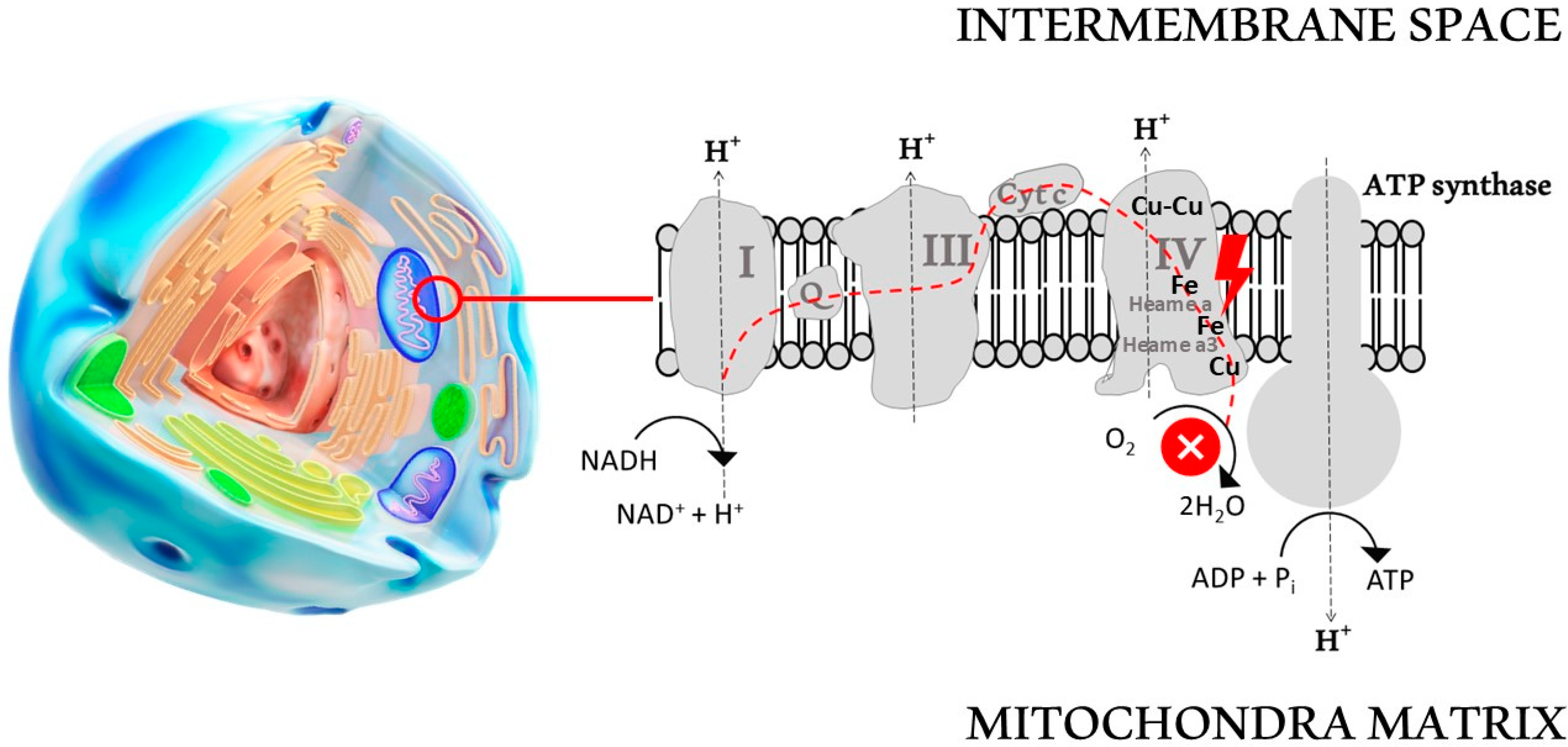 Biomolecules 14 01420 g003 Biomolecules 14 01420 g003
