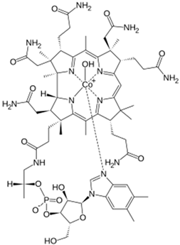 Biomolecules 14 01420 i005 Biomolecules 14 01420 i005
