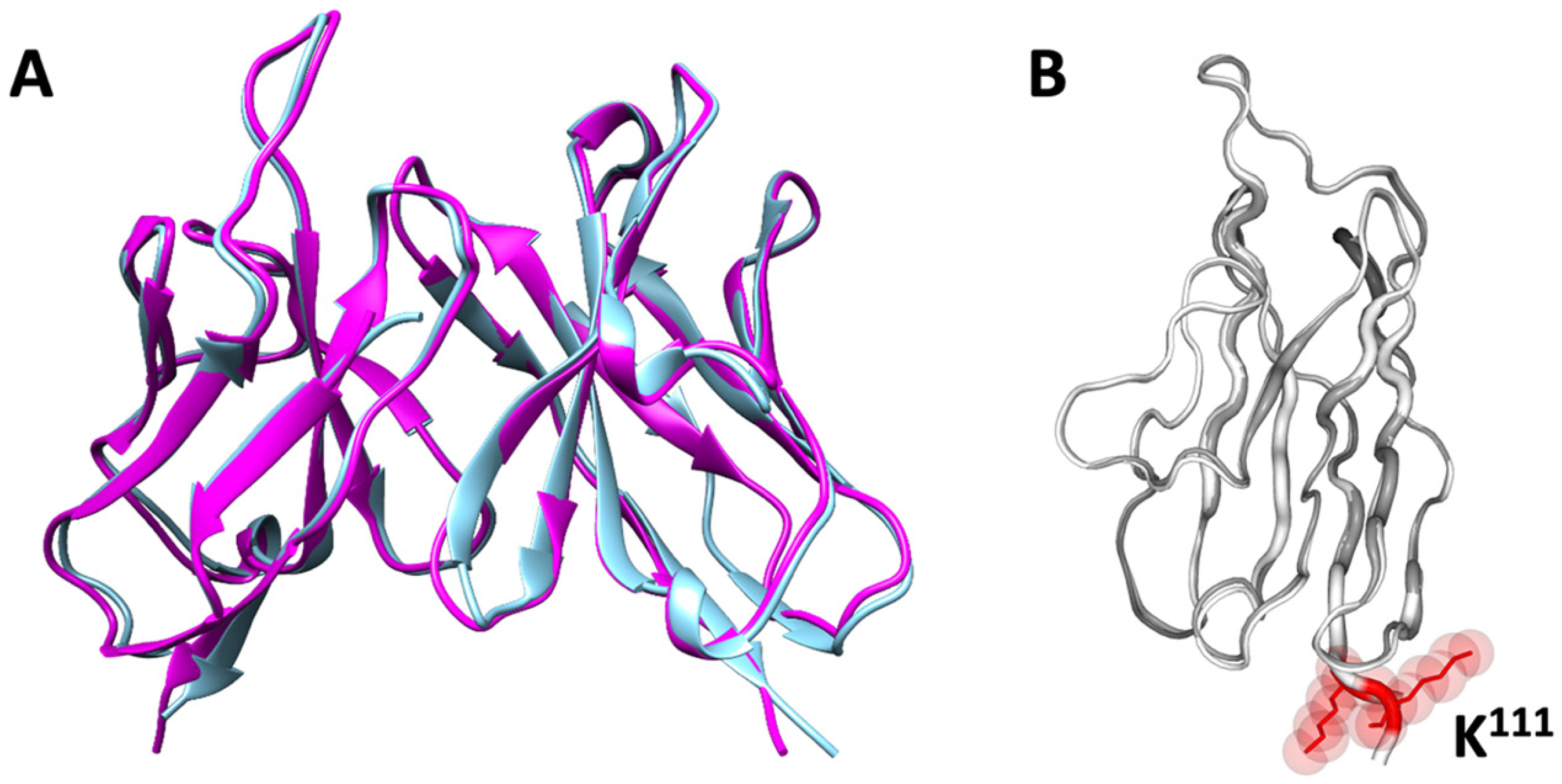 Biomolecules 14 01422 g002
