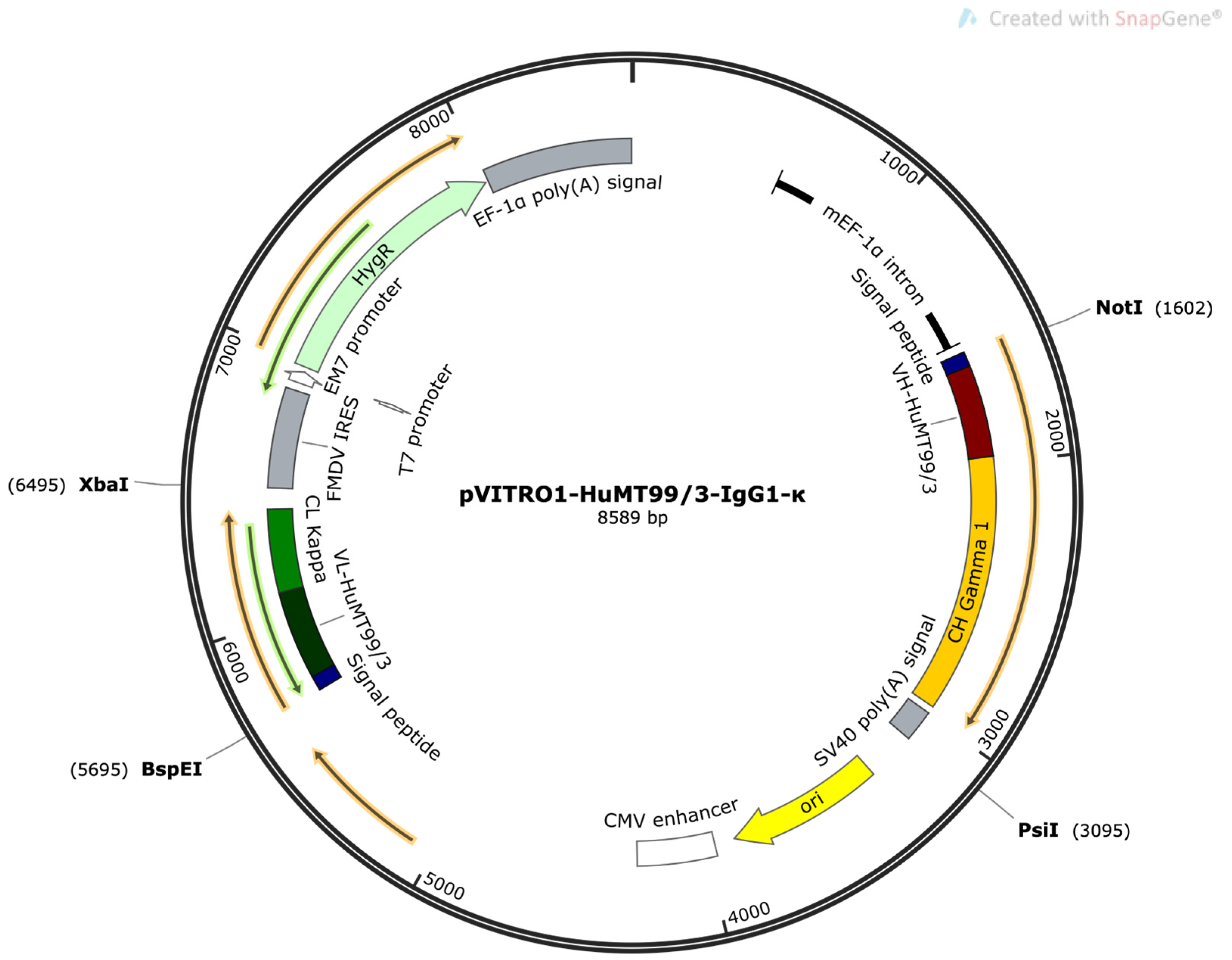 Biomolecules 14 01422 g005