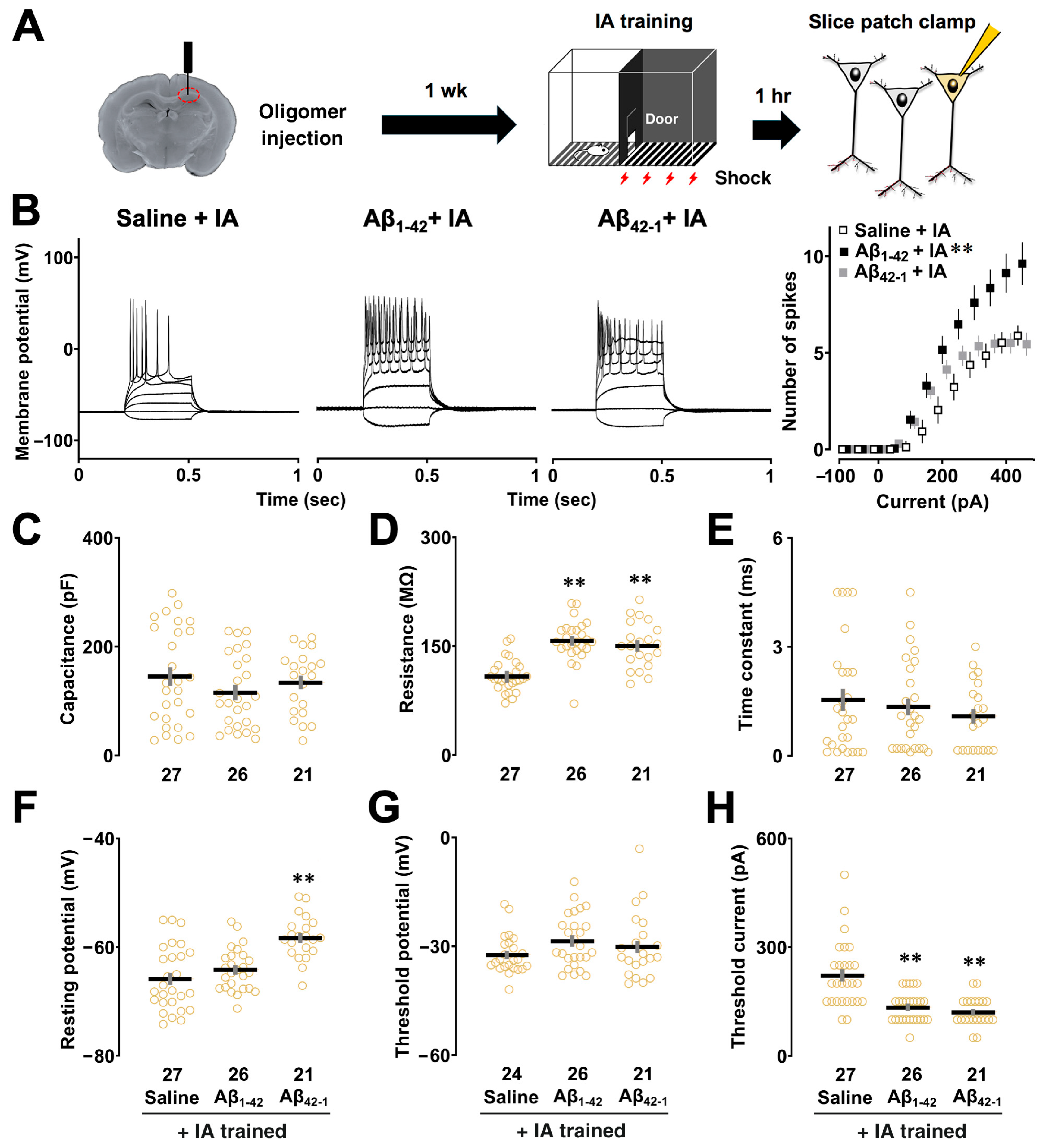 Biomolecules 14 01425 g002