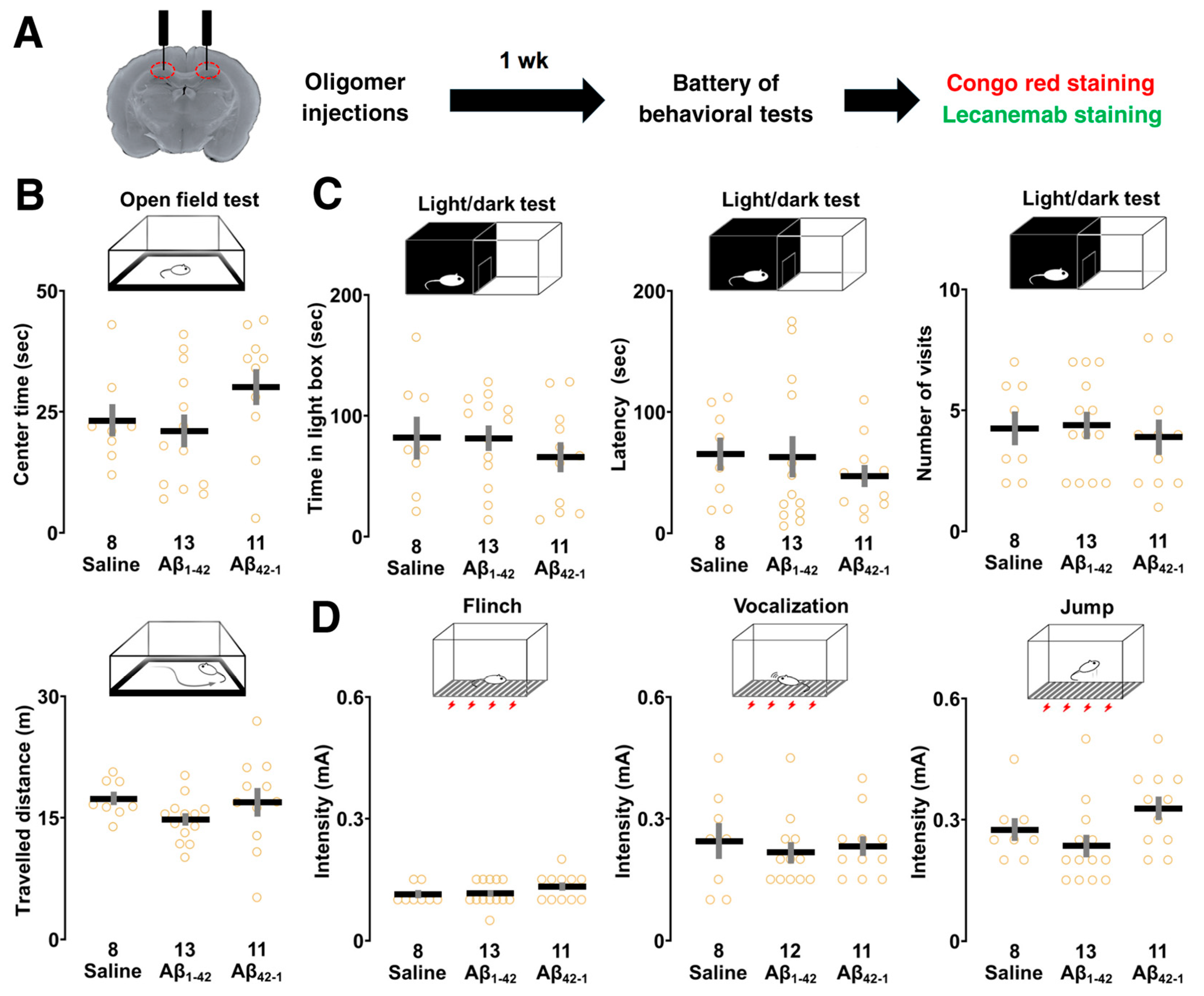 Biomolecules 14 01425 g004