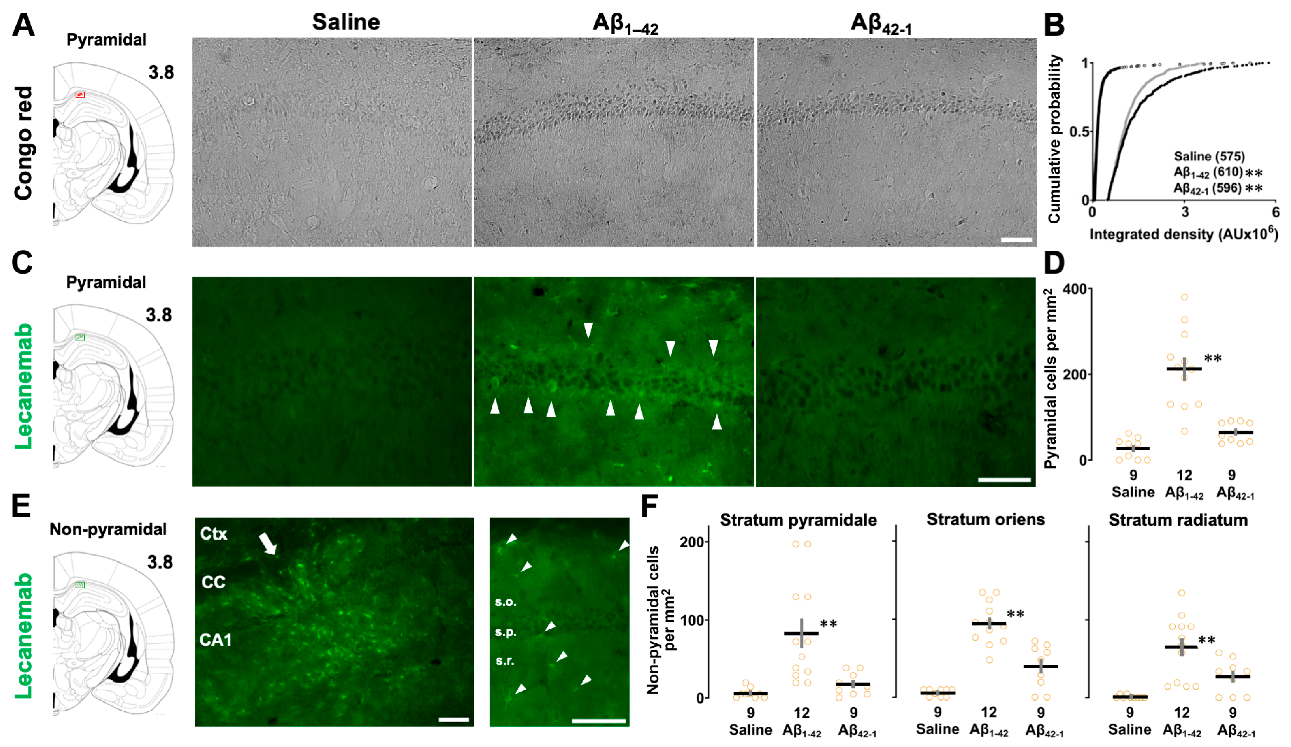 Biomolecules 14 01425 g006