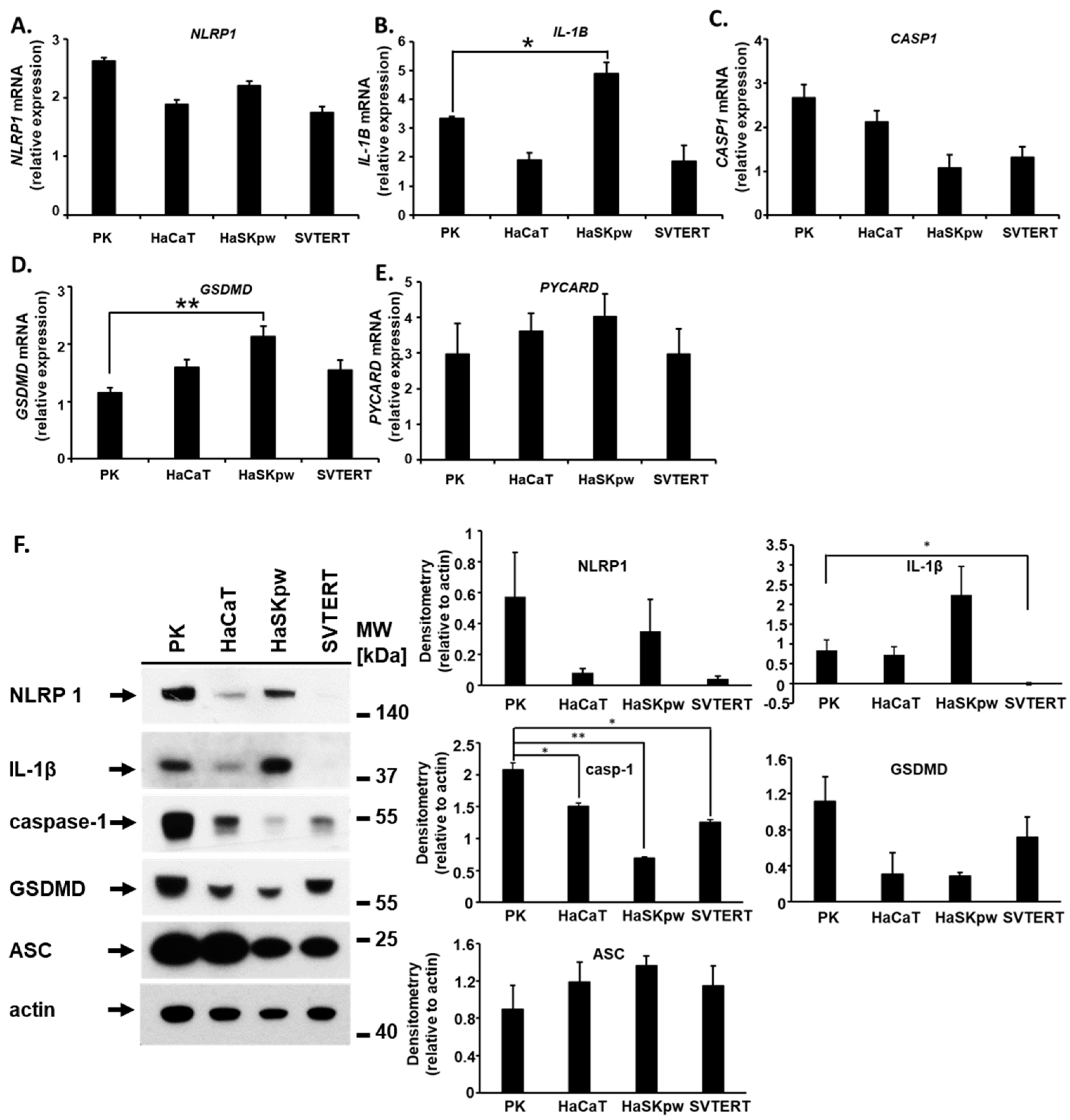 Biomolecules 14 01427 g001