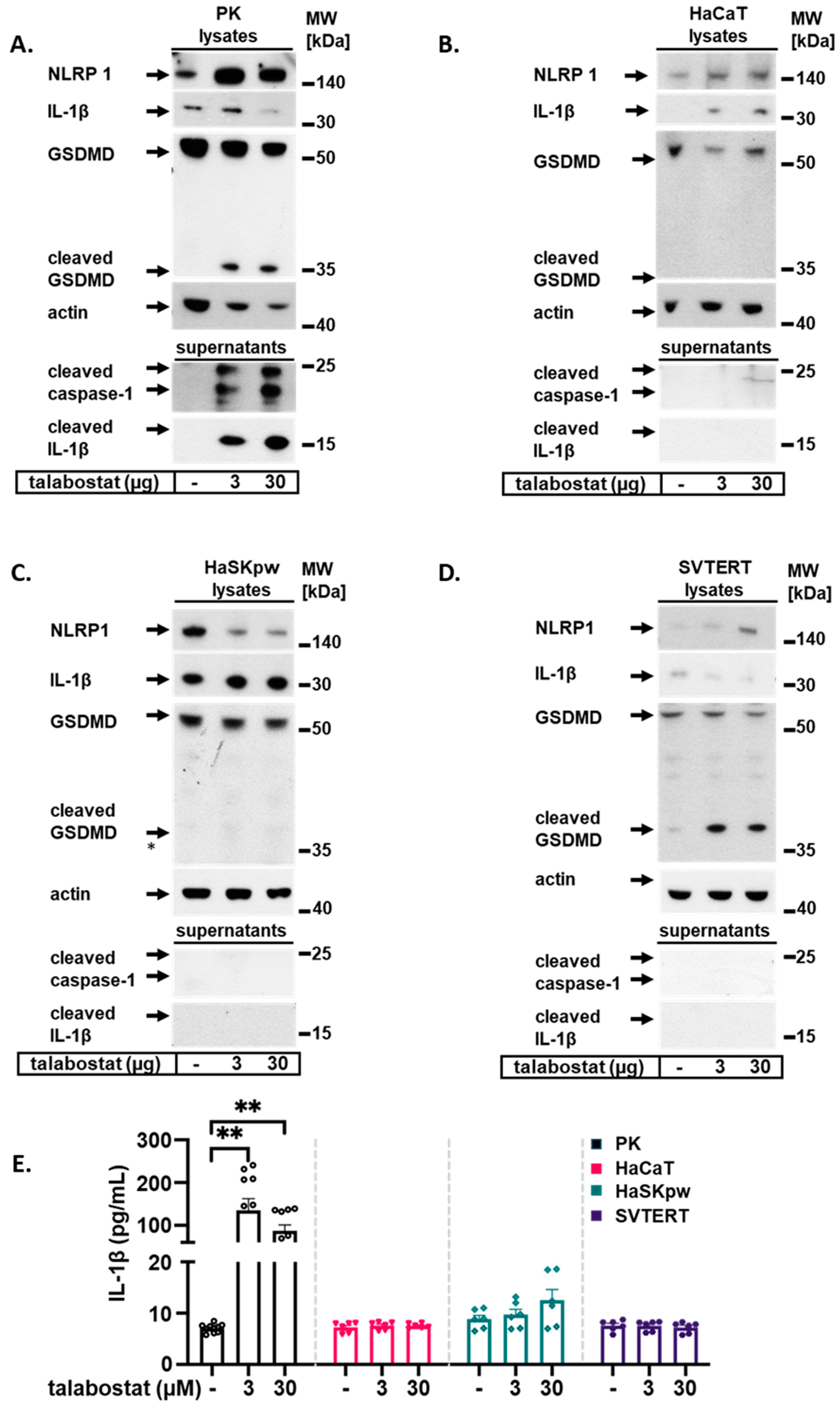 Biomolecules 14 01427 g003