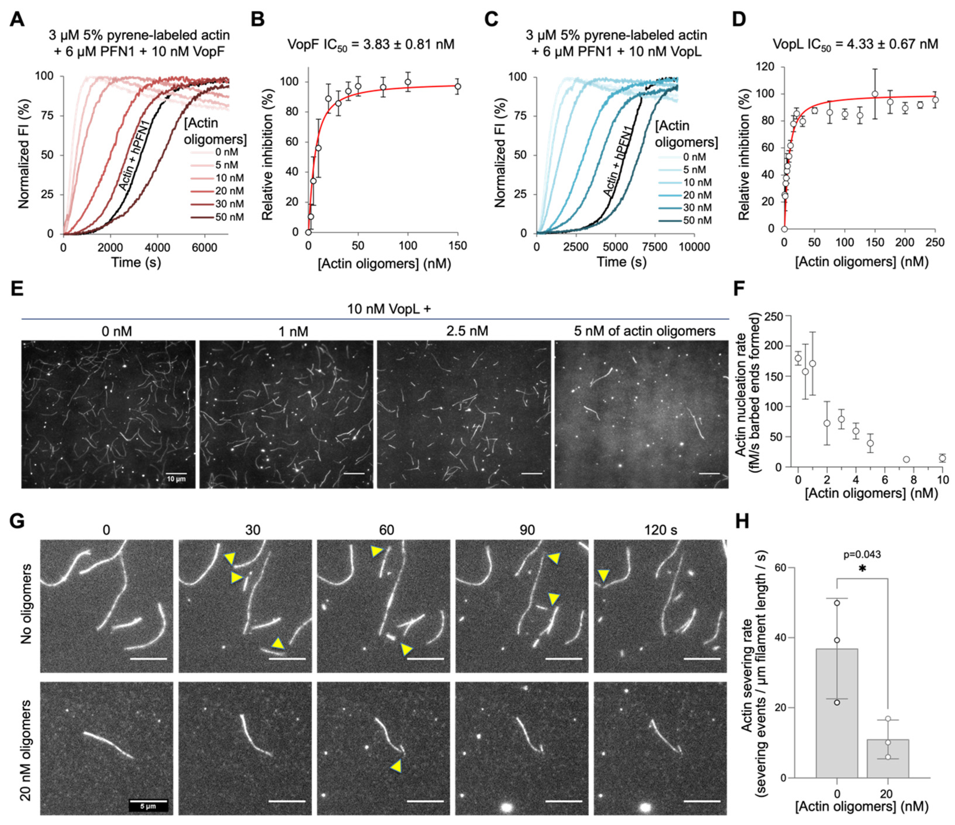 Biomolecules 14 01428 g002