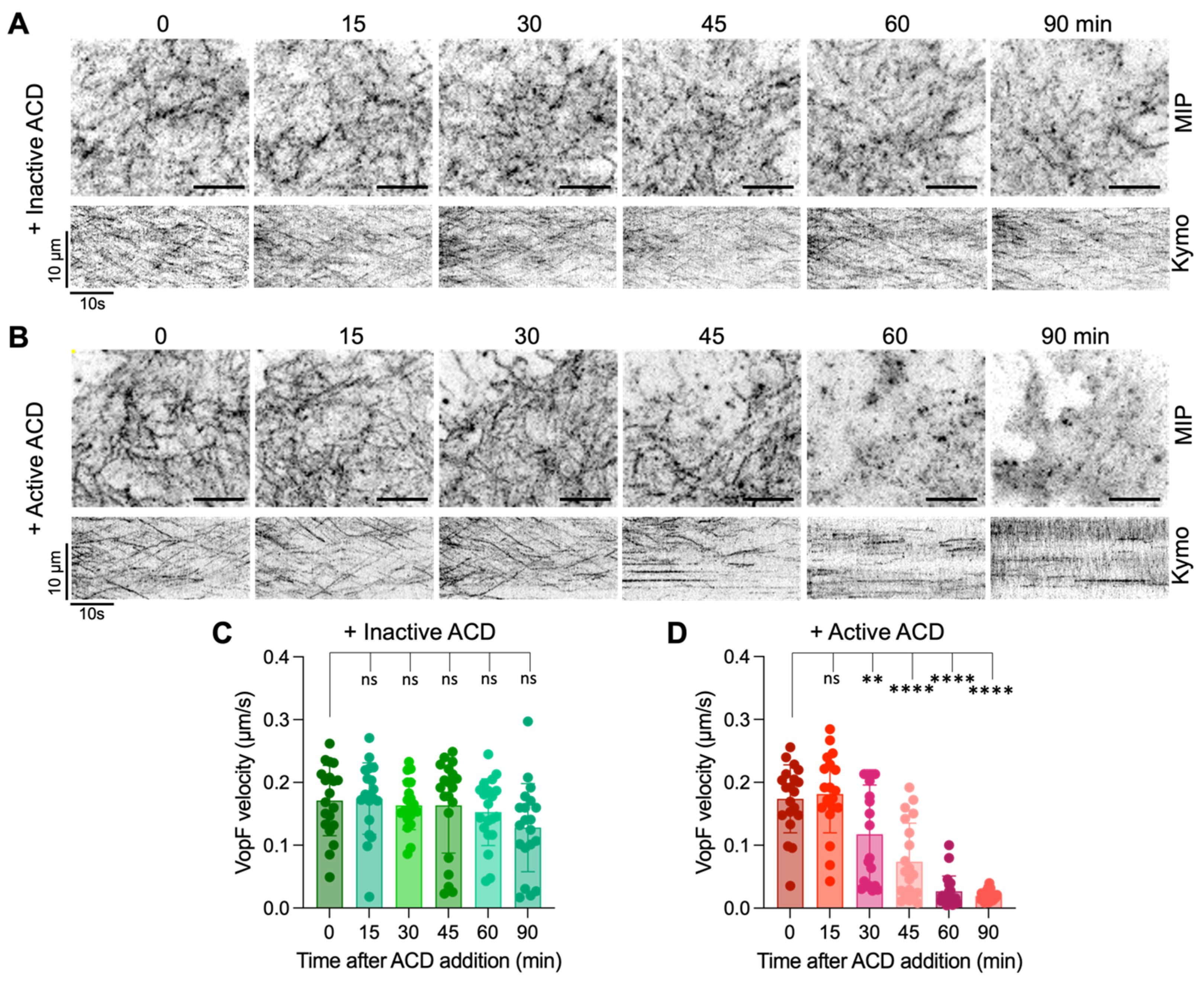 Biomolecules 14 01428 g003