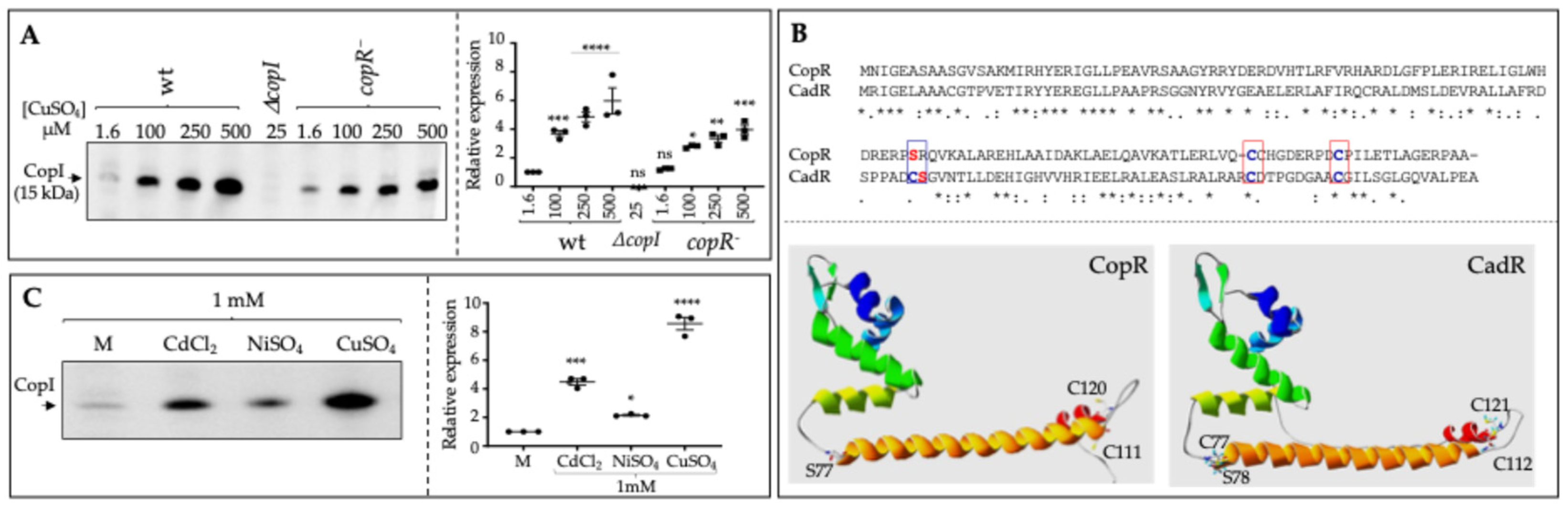 Biomolecules 14 01429 g001