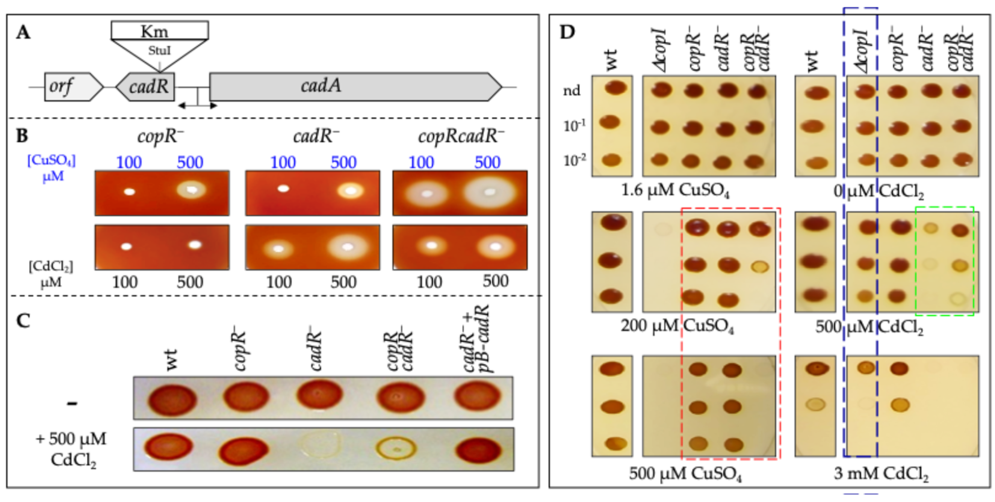 Biomolecules 14 01429 g002