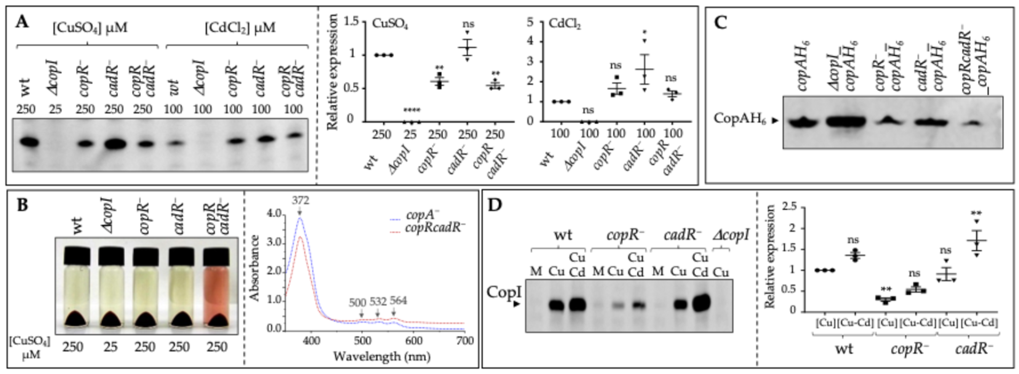 Biomolecules 14 01429 g004