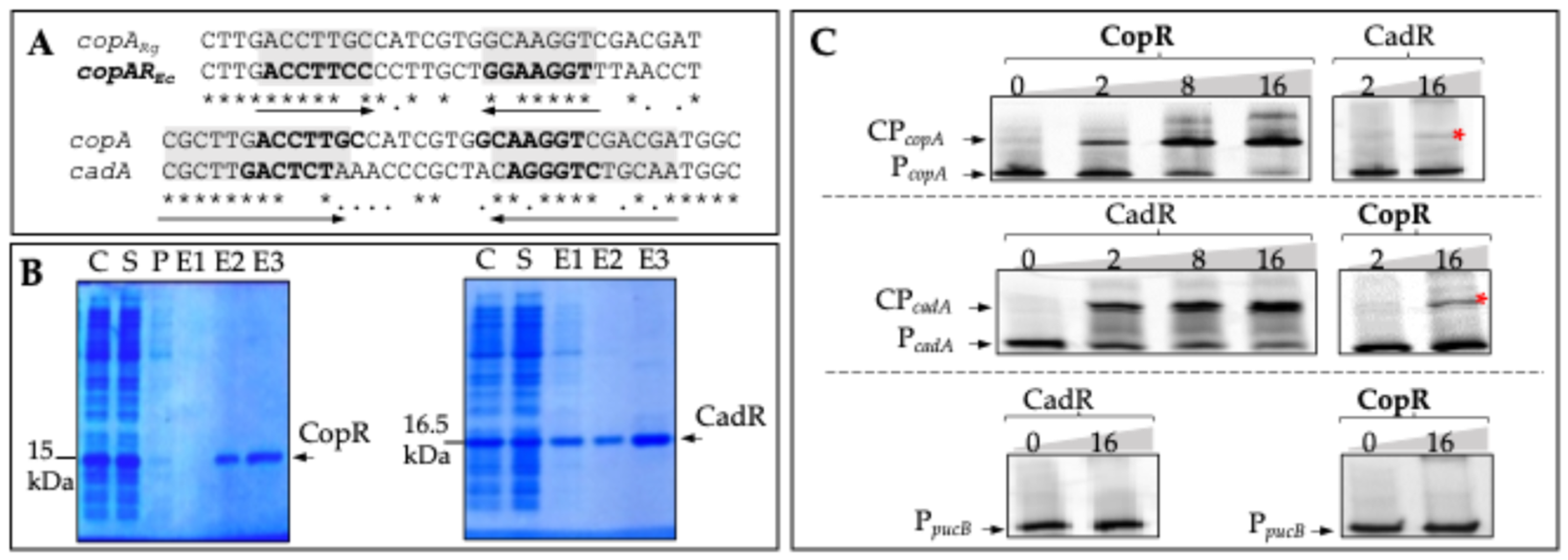 Biomolecules 14 01429 g005