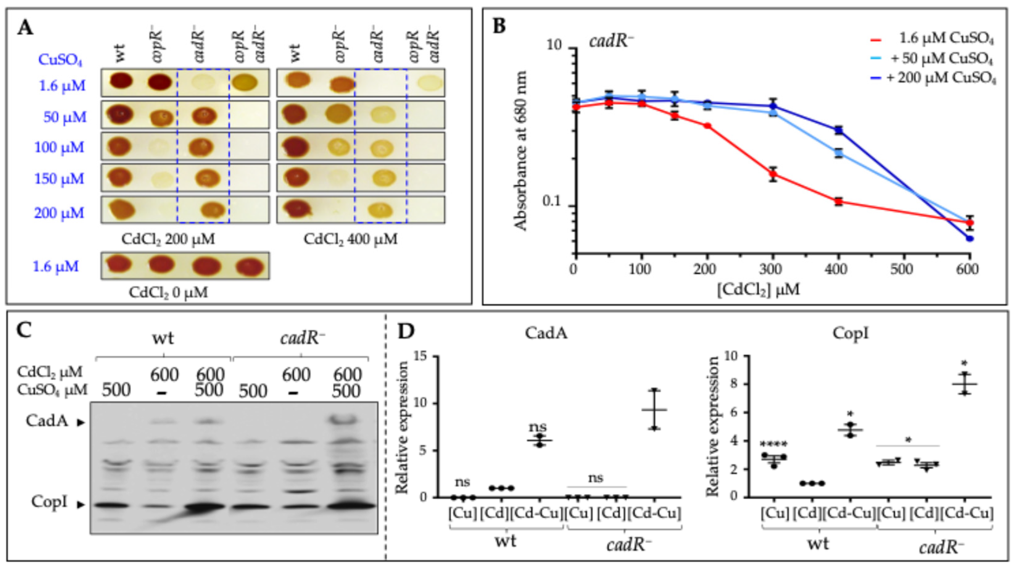 Biomolecules 14 01429 g006