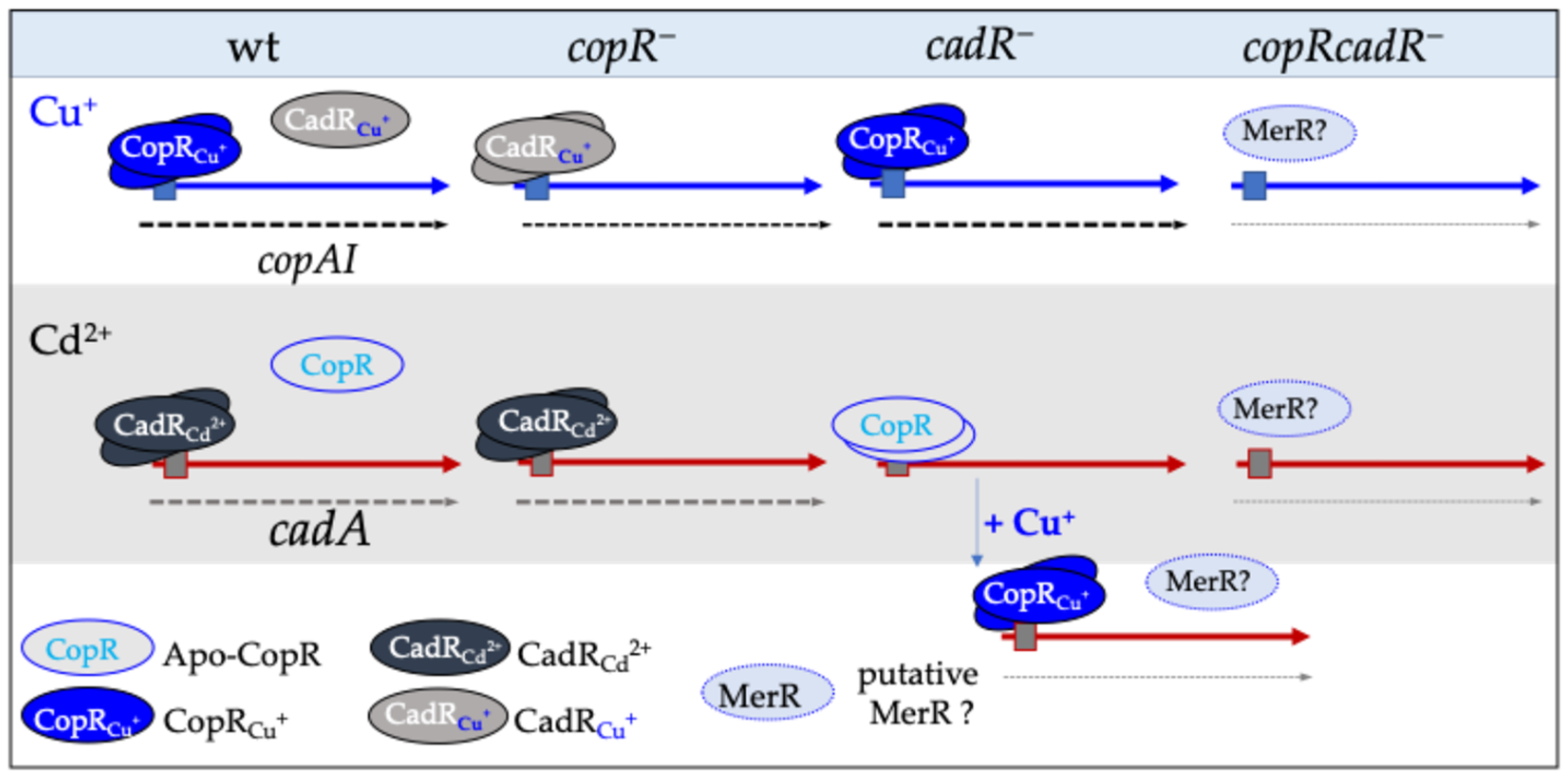 Biomolecules 14 01429 g007