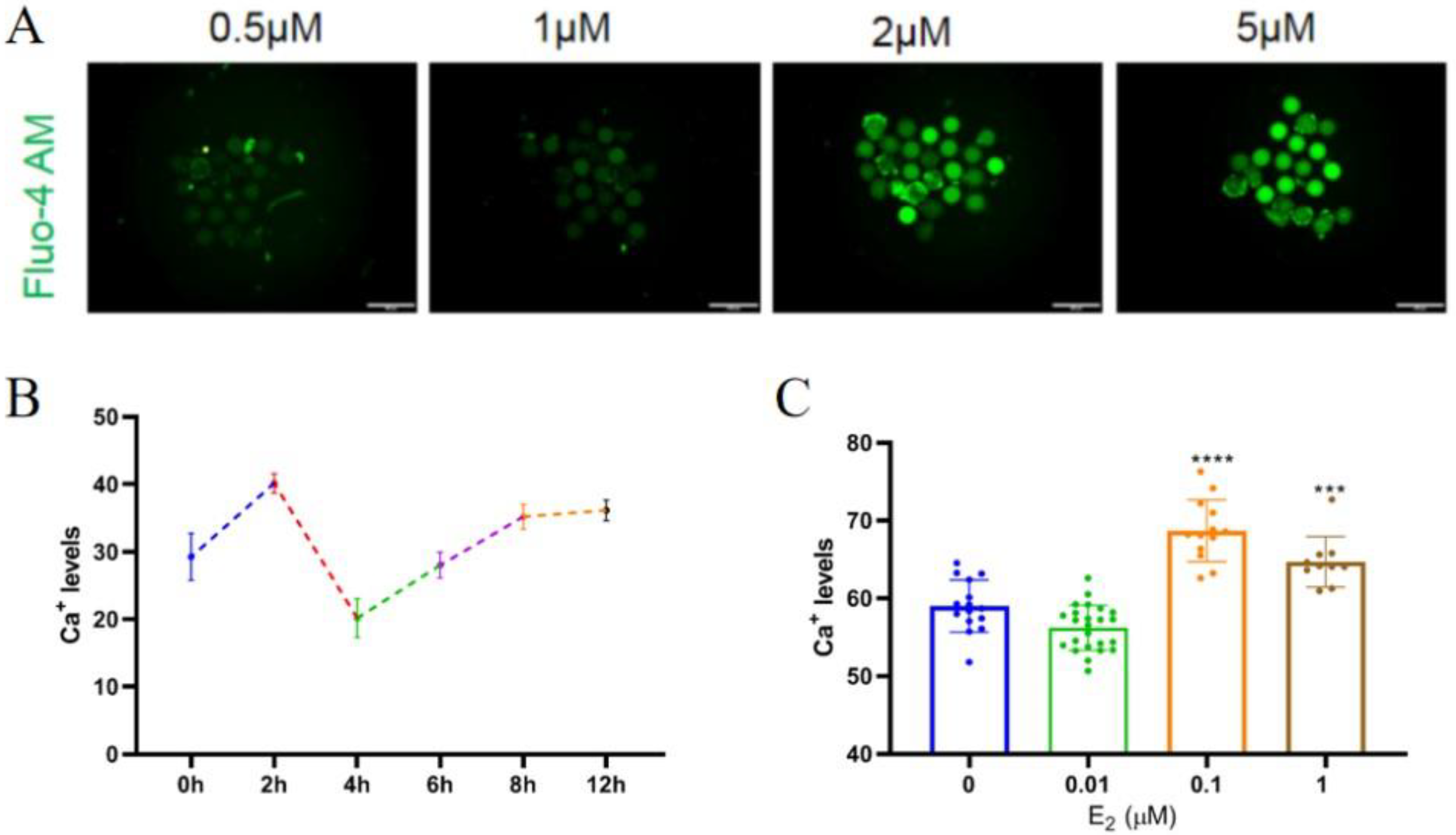 Biomolecules 14 01430 g001 Biomolecules 14 01430 g001