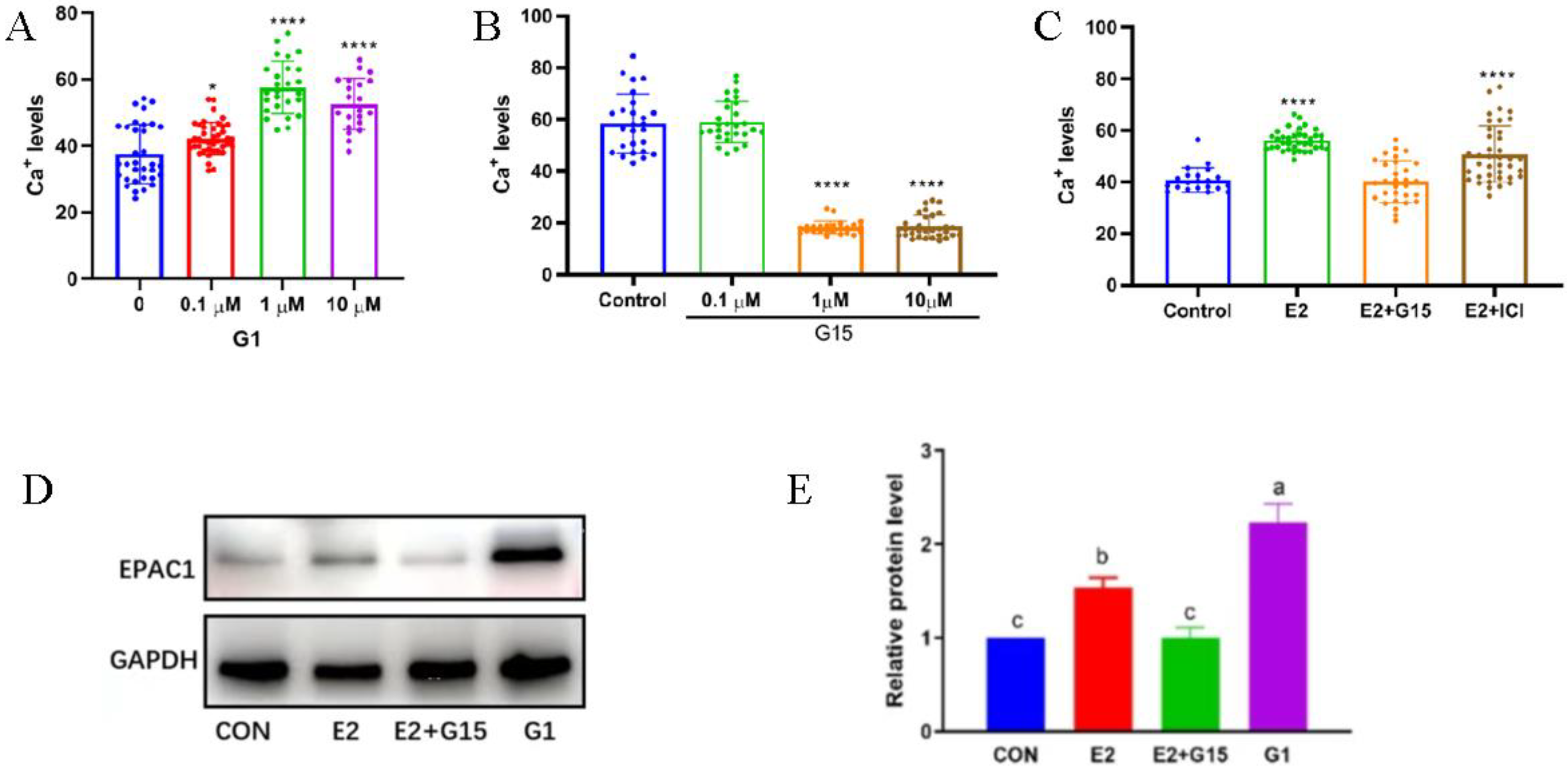 Biomolecules 14 01430 g002 Biomolecules 14 01430 g002