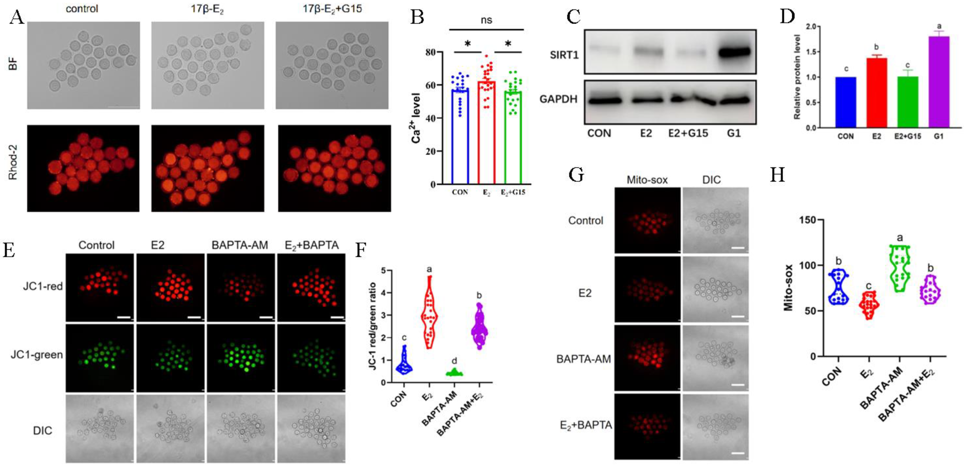 Biomolecules 14 01430 g004 Biomolecules 14 01430 g004