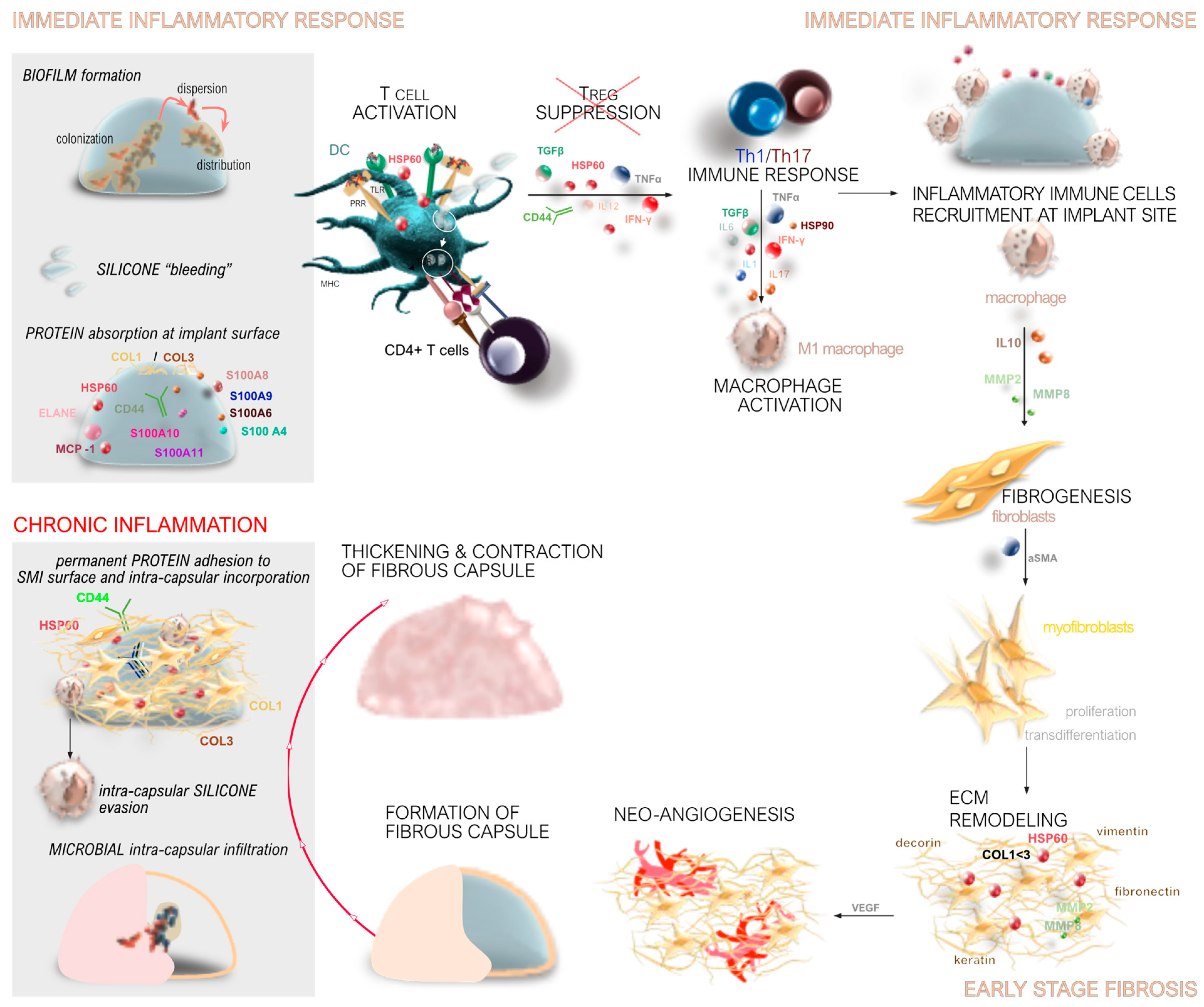 Biomolecules 14 01433 g001